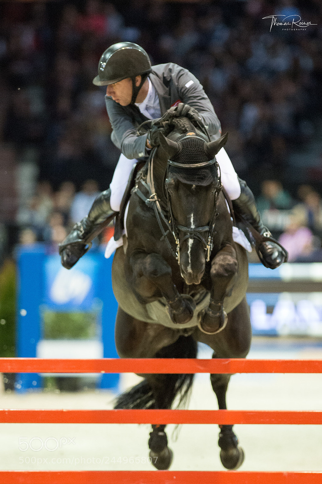 Nikon D4 sample photo. Bordeaux, france, 4.2.2018, sport photography