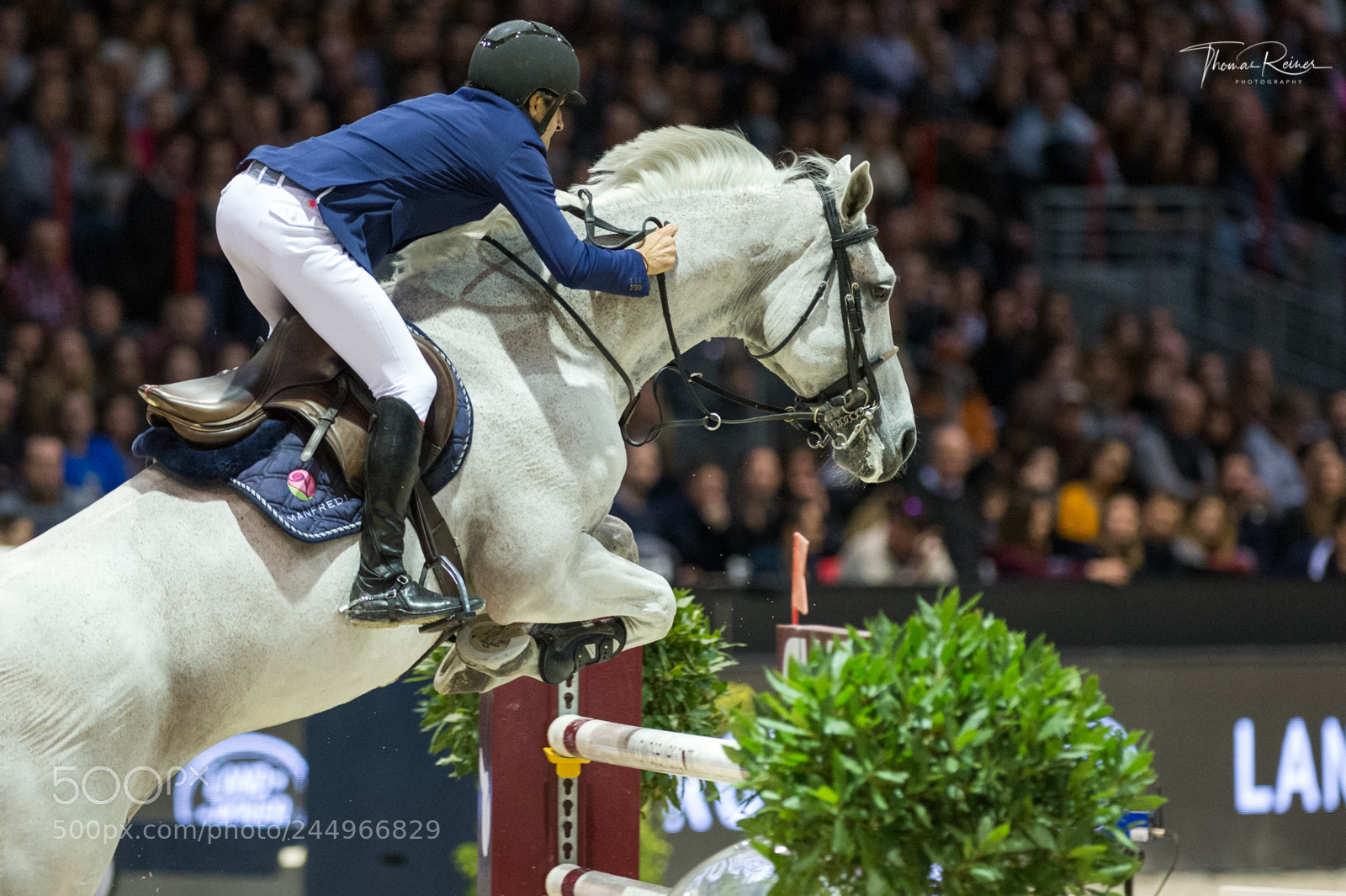 Nikon D4 sample photo. Bordeaux, france, 4.2.2018, sport photography
