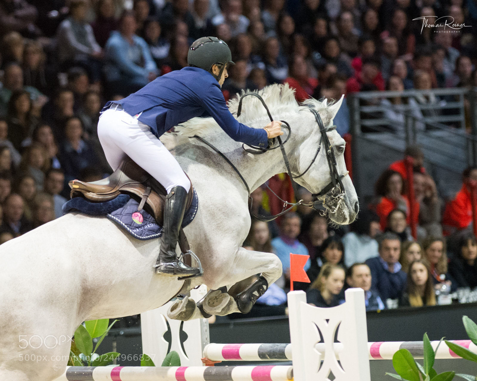 Nikon D4 sample photo. Bordeaux, france, 4.2.2018, sport photography