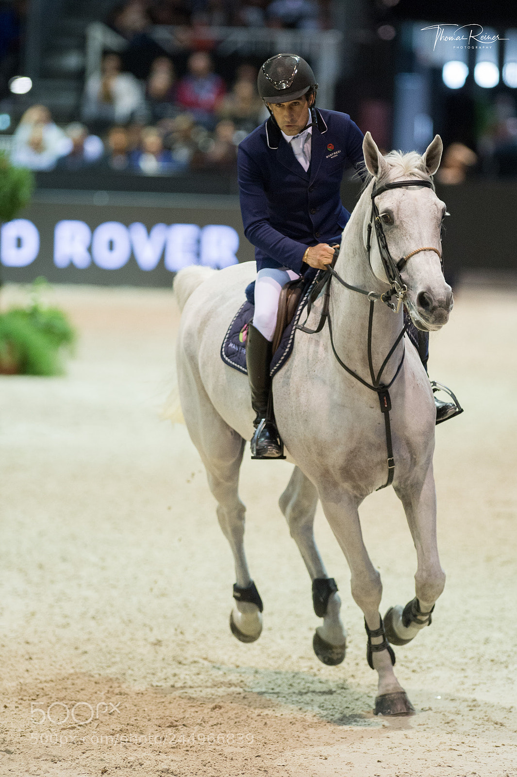 Nikon D4 sample photo. Bordeaux, france, 4.2.2018, sport photography