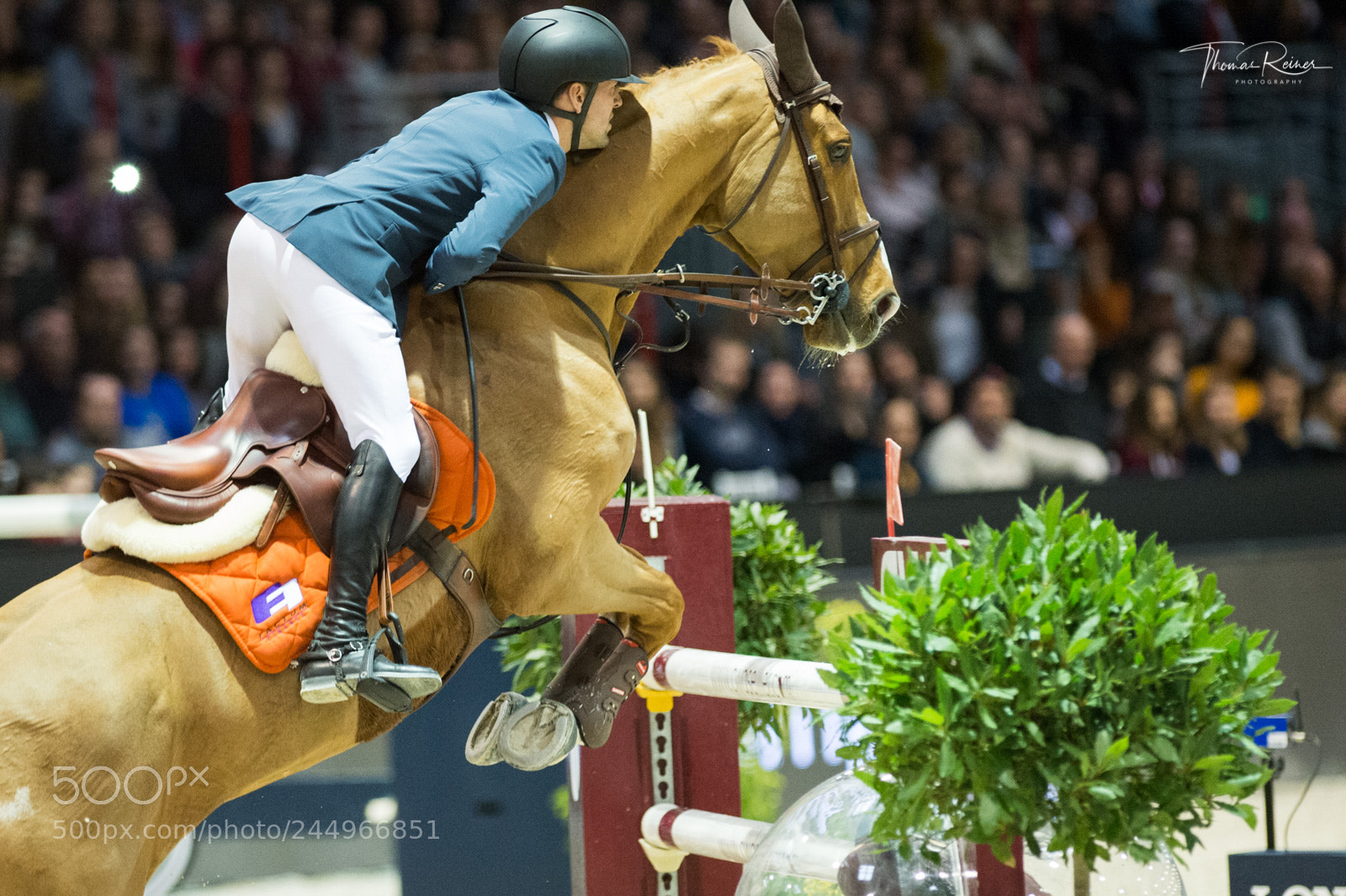 Nikon D4 sample photo. Bordeaux, france, 4.2.2018, sport photography