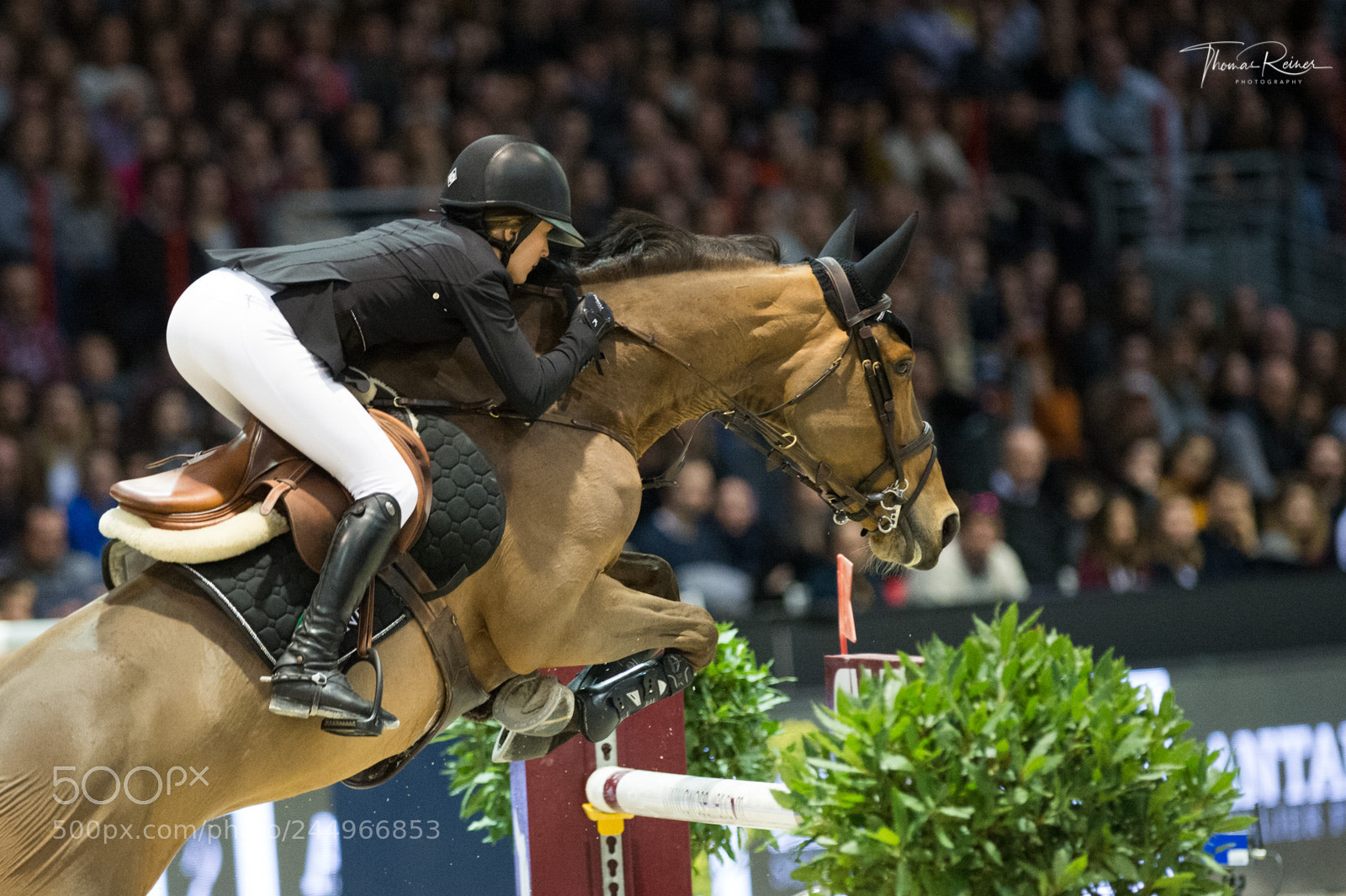 Nikon D4 sample photo. Bordeaux, france, 4.2.2018, sport photography