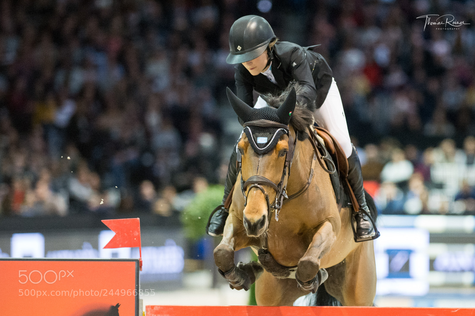 Nikon D4 sample photo. Bordeaux, france, 4.2.2018, sport photography