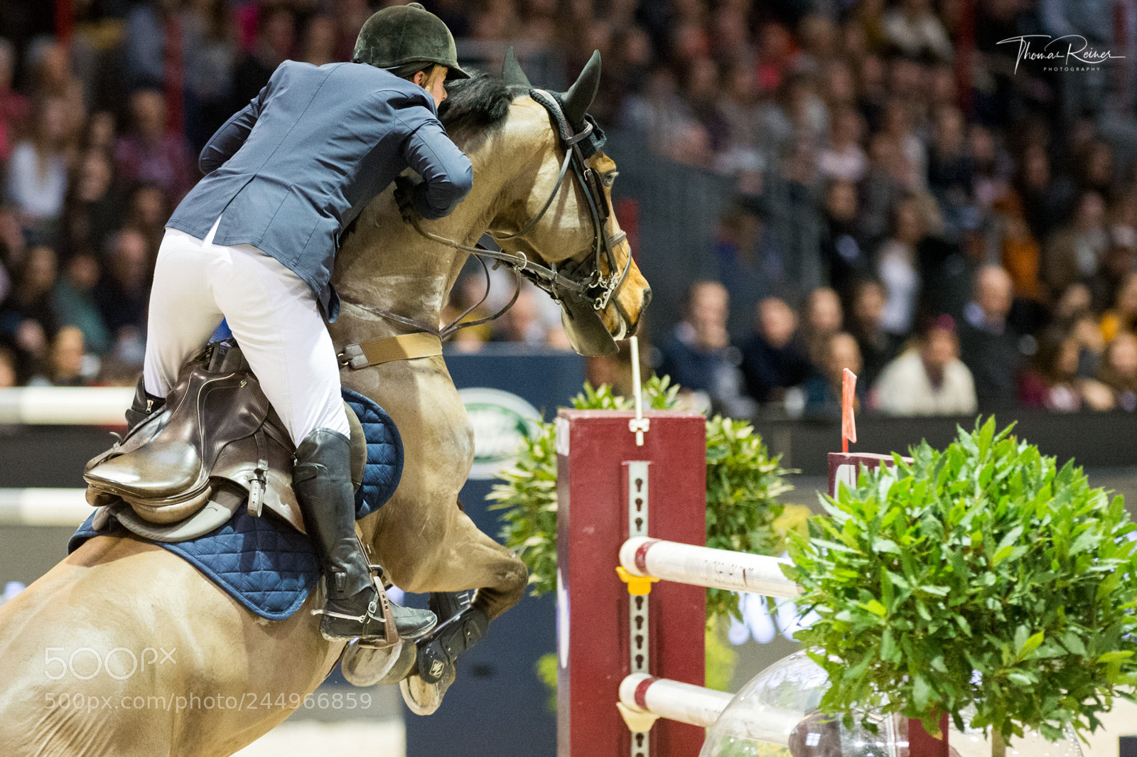 Nikon D4 sample photo. Bordeaux, france, 4.2.2018, sport photography