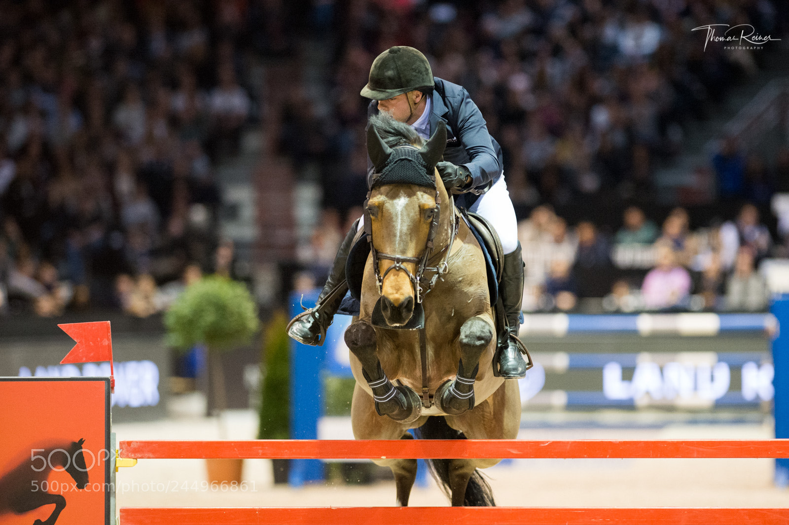 Nikon D4 sample photo. Bordeaux, france, 4.2.2018, sport photography