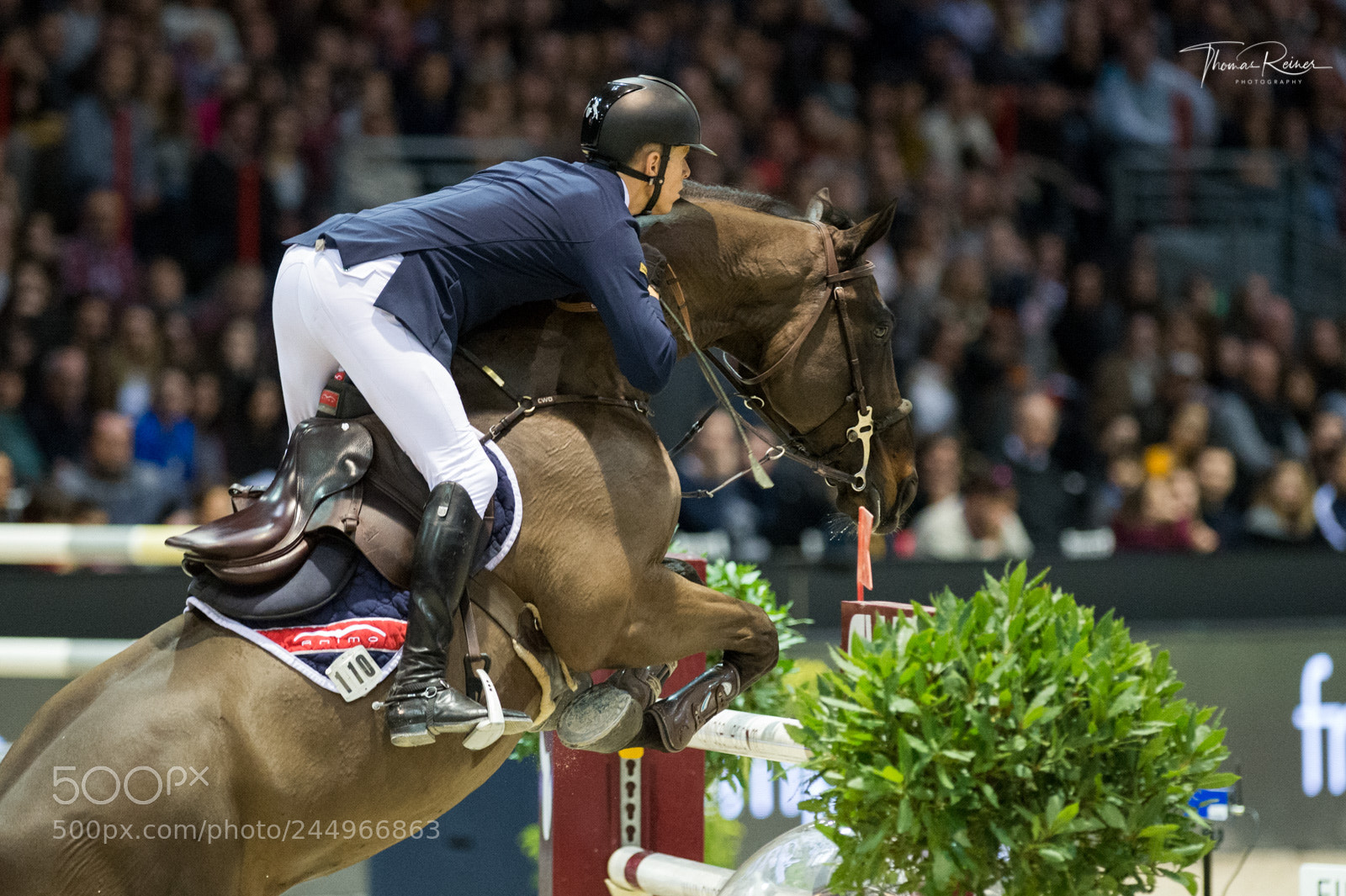 Nikon D4 sample photo. Bordeaux, france, 4.2.2018, sport photography