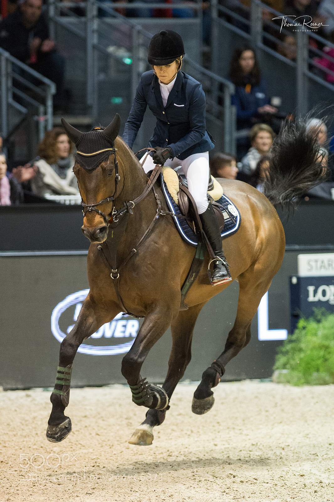 Nikon D4 sample photo. Bordeaux, france, 4.2.2018, sport photography