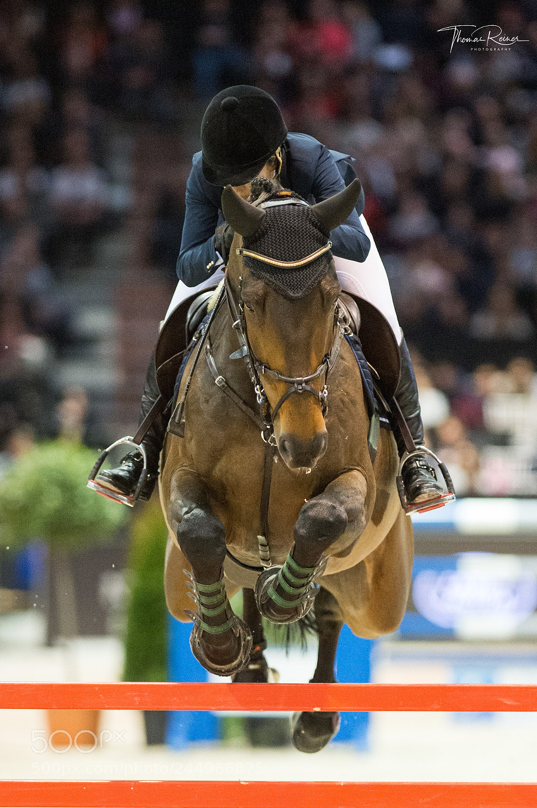 Nikon D4 sample photo. Bordeaux, france, 4.2.2018, sport photography