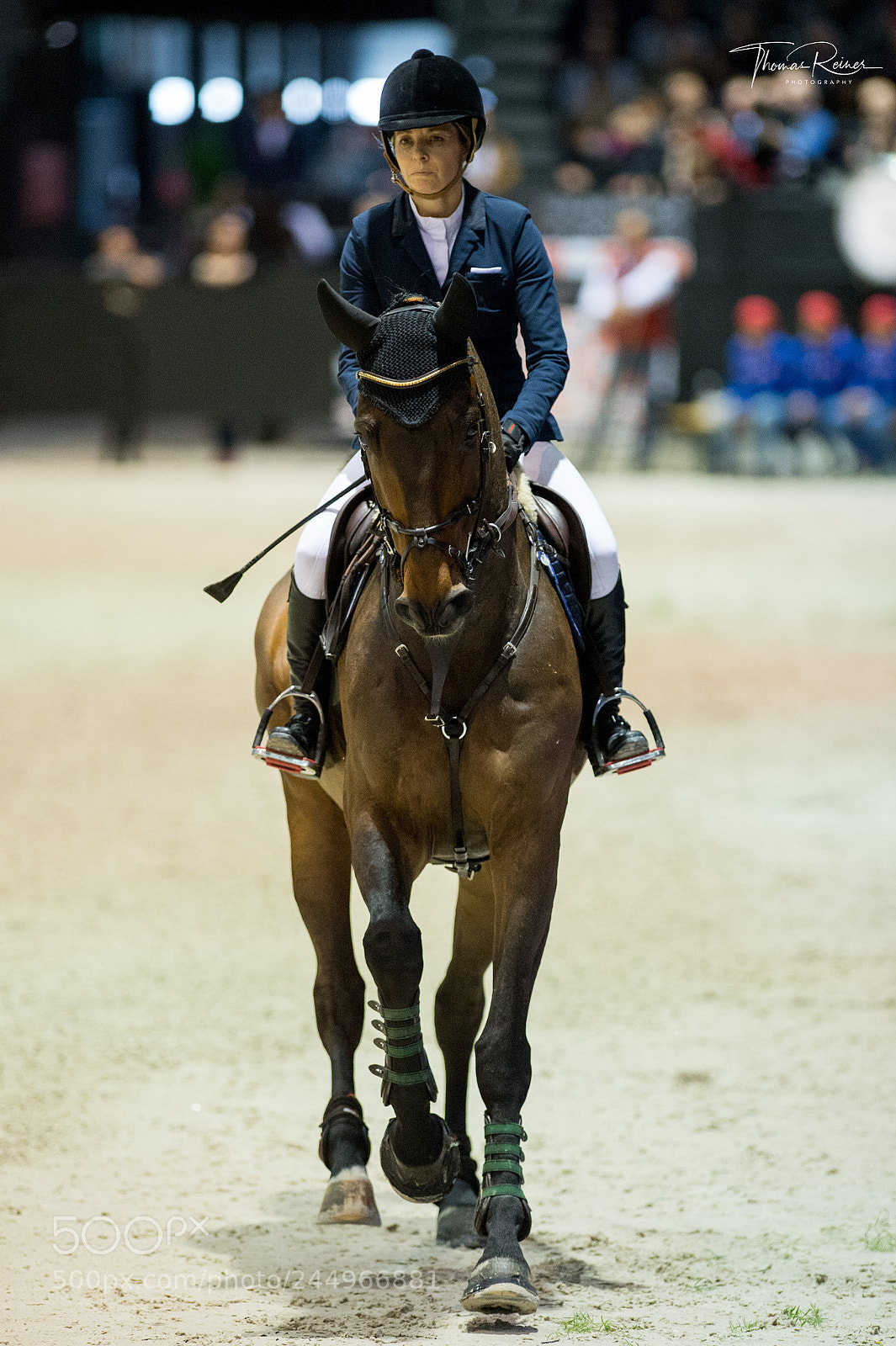 Nikon D4 sample photo. Bordeaux, france, 4.2.2018, sport photography