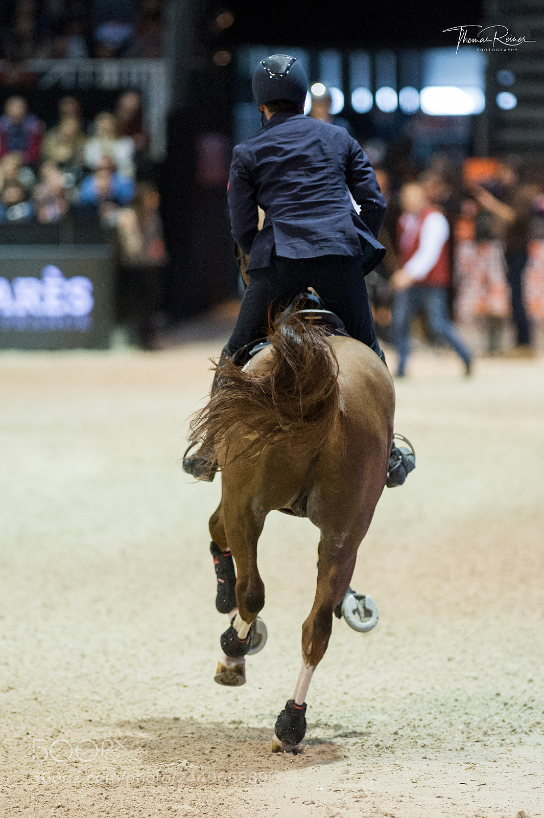 Nikon D4 sample photo. Bordeaux, france, 4.2.2018, sport photography