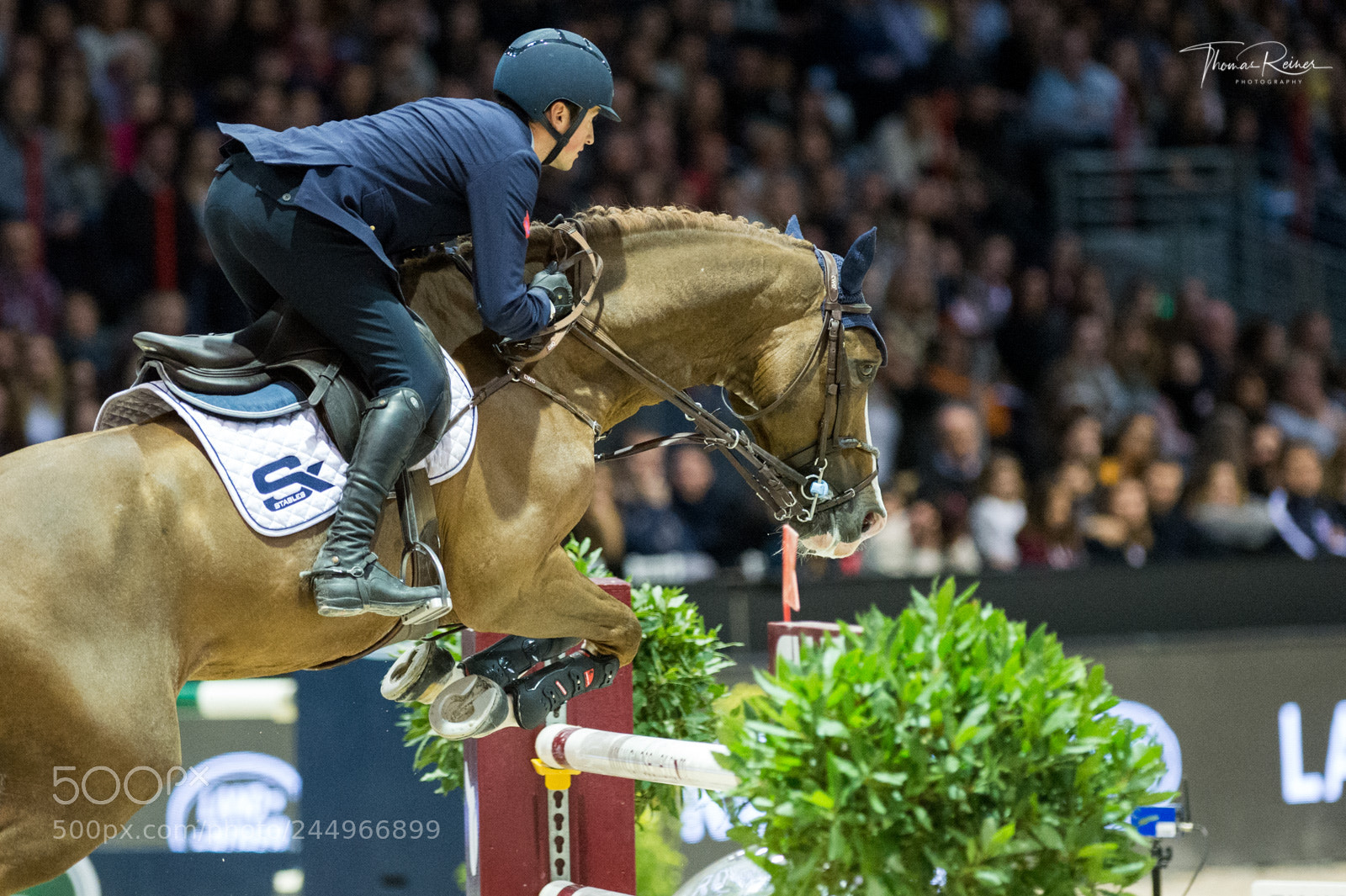 Nikon D4 sample photo. Bordeaux, france, 4.2.2018, sport photography
