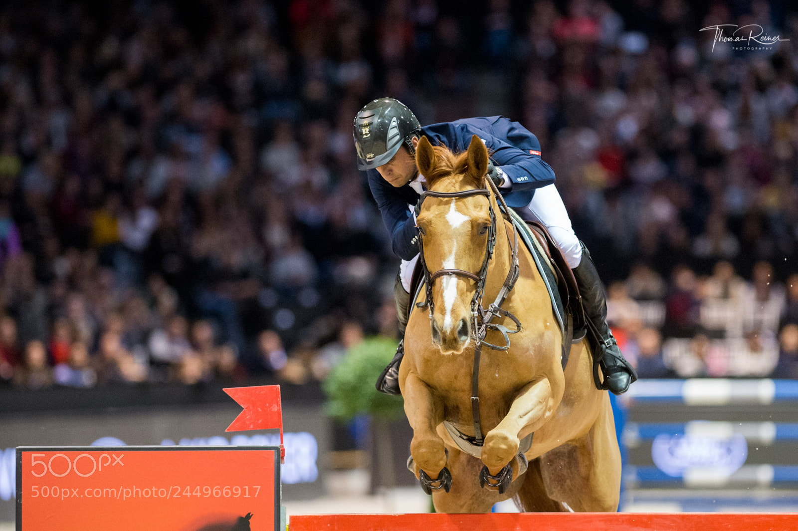Nikon D4 sample photo. Bordeaux, france, 4.2.2018, sport photography