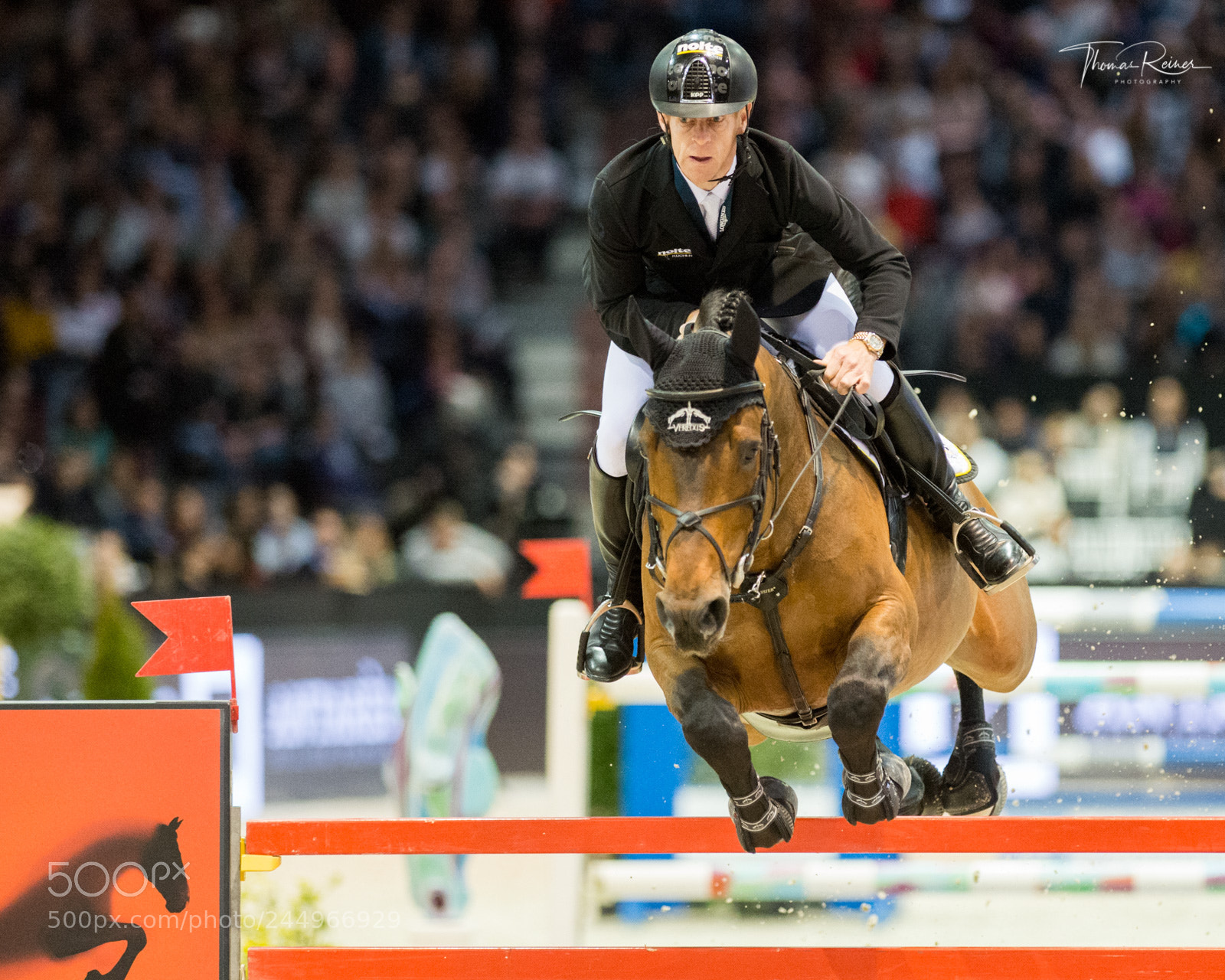 Nikon D4 sample photo. Bordeaux, france, 4.2.2018, sport photography