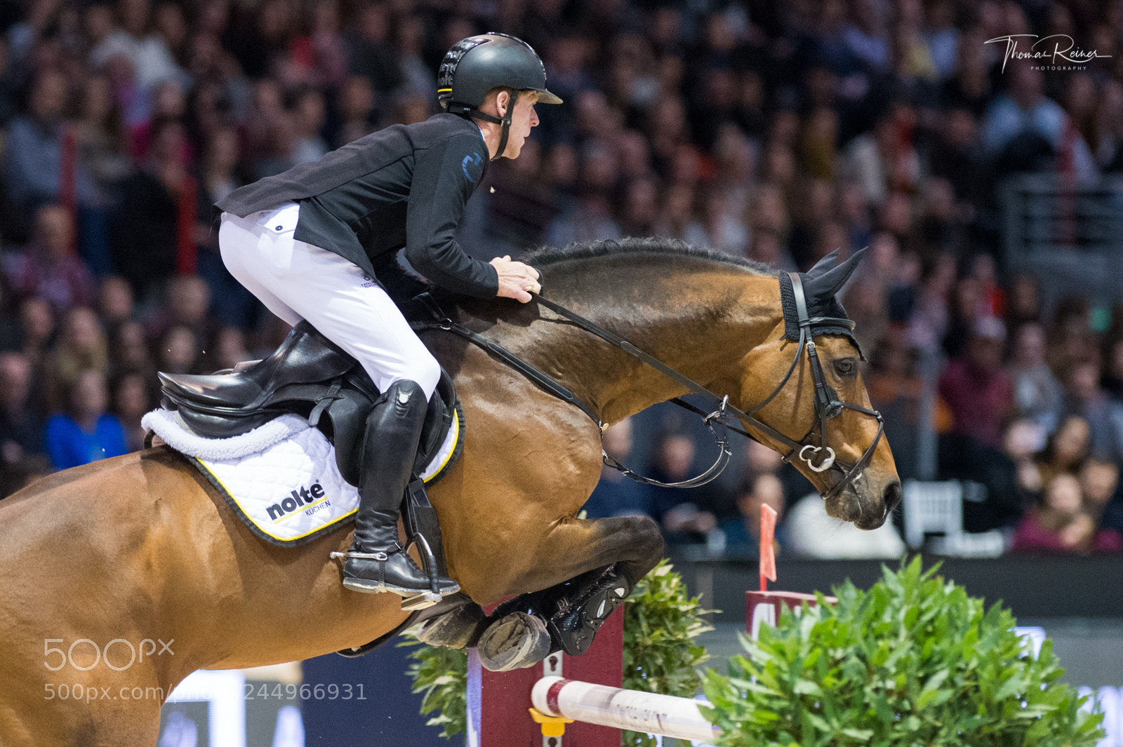 Nikon D4 sample photo. Bordeaux, france, 4.2.2018, sport photography