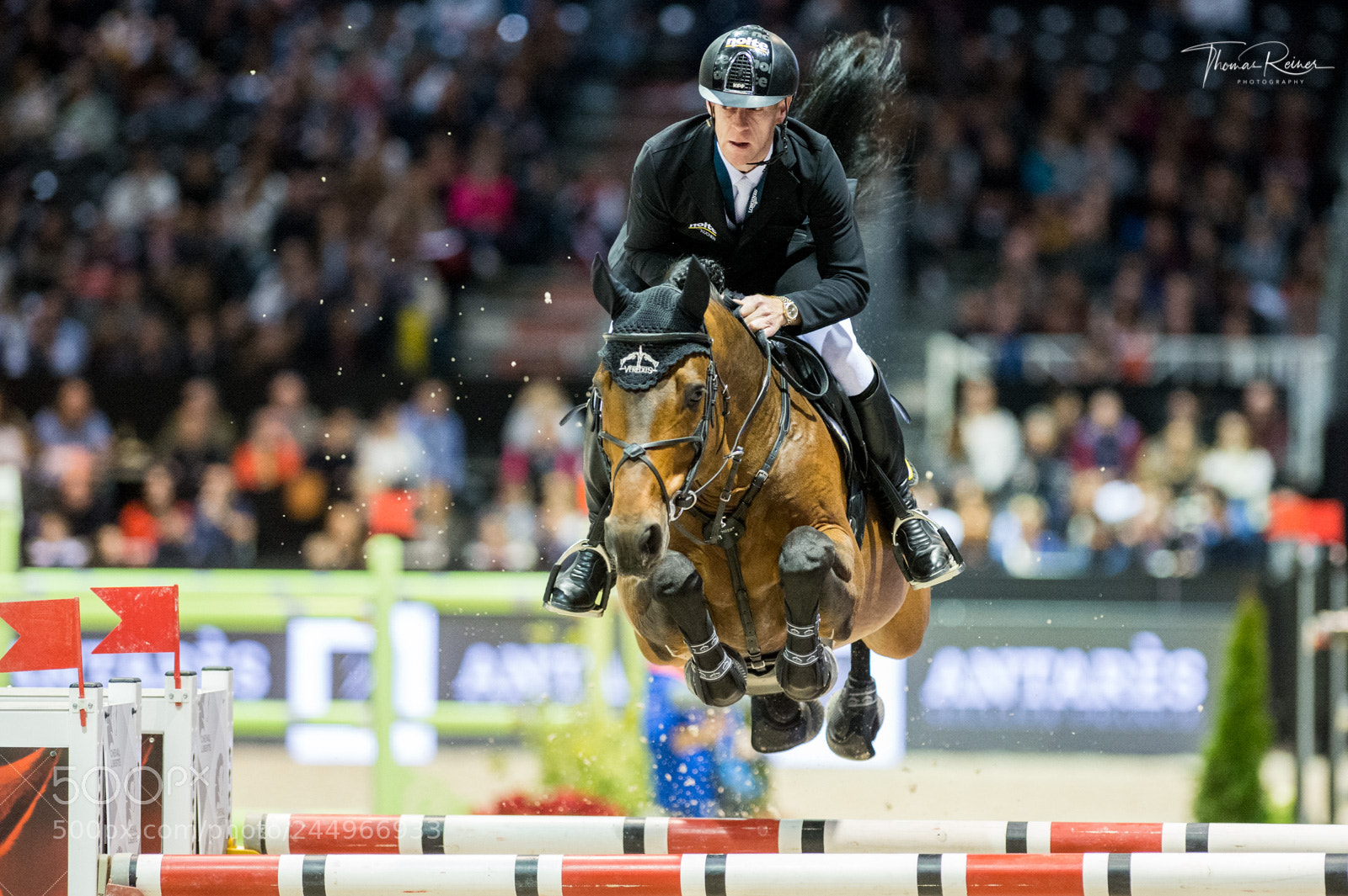 Nikon D4 sample photo. Bordeaux, france, 4.2.2018, sport photography