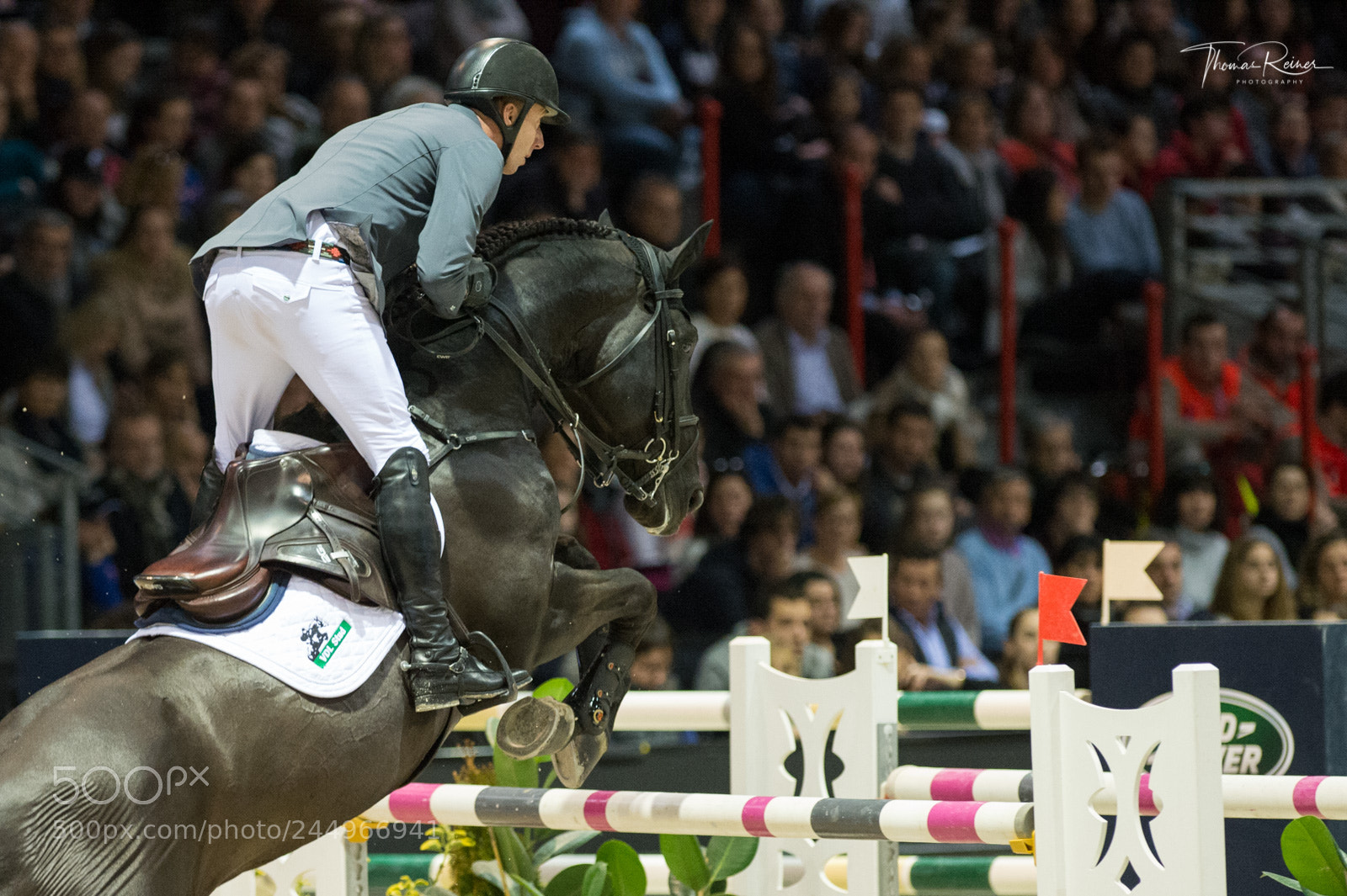 Nikon D4 sample photo. Bordeaux, france, 4.2.2018, sport photography