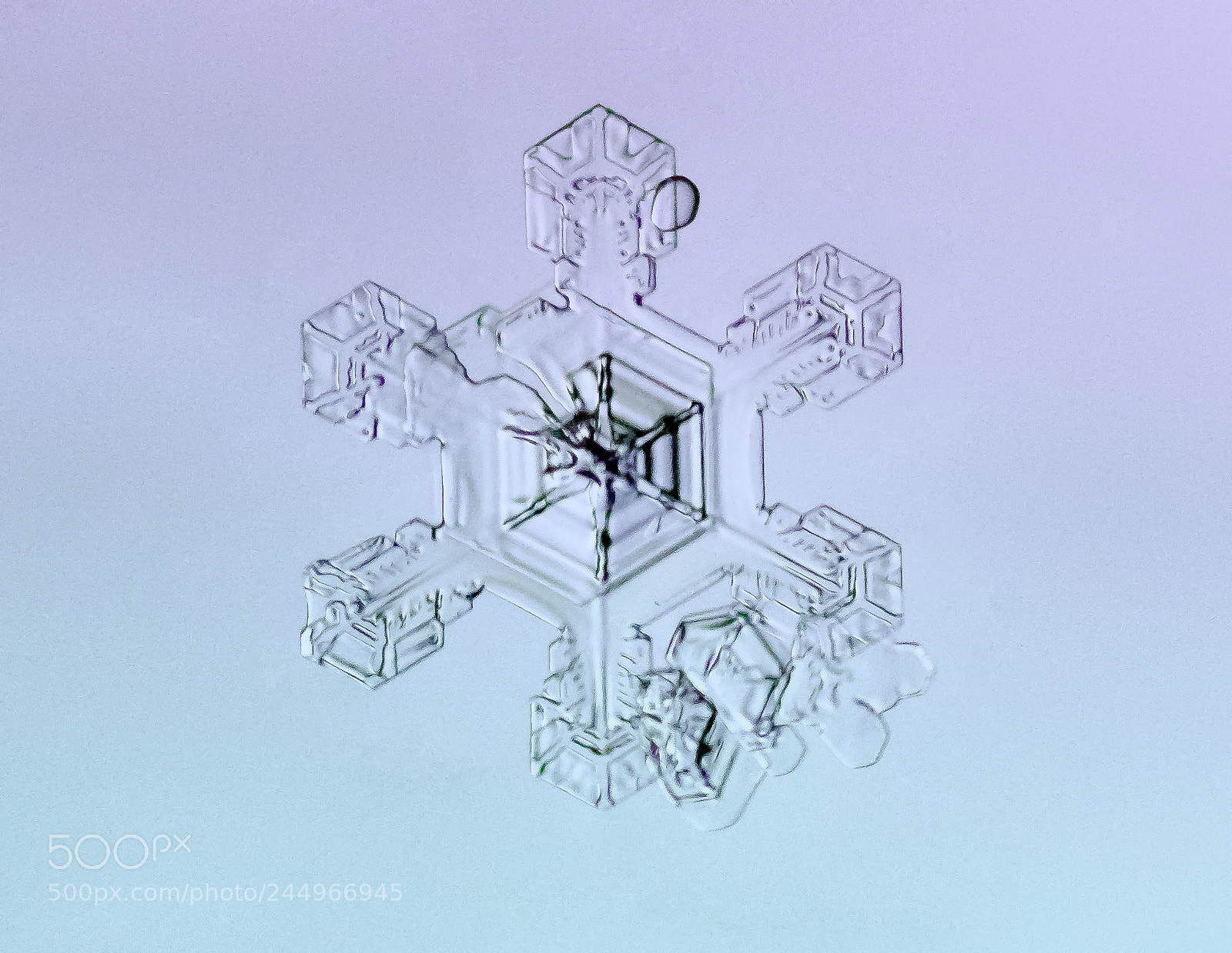 Canon EOS 7D Mark II sample photo. Snowflake photography