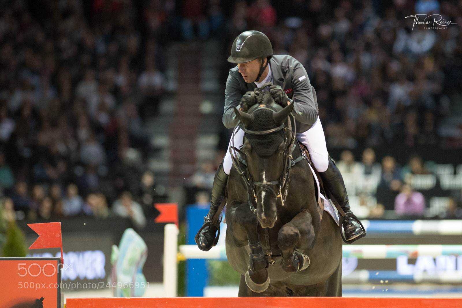 Nikon D4 sample photo. Bordeaux, france, 4.2.2018, sport photography