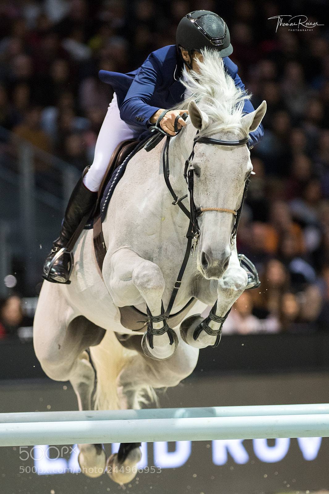 Nikon D4 sample photo. Bordeaux, france, 4.2.2018, sport photography