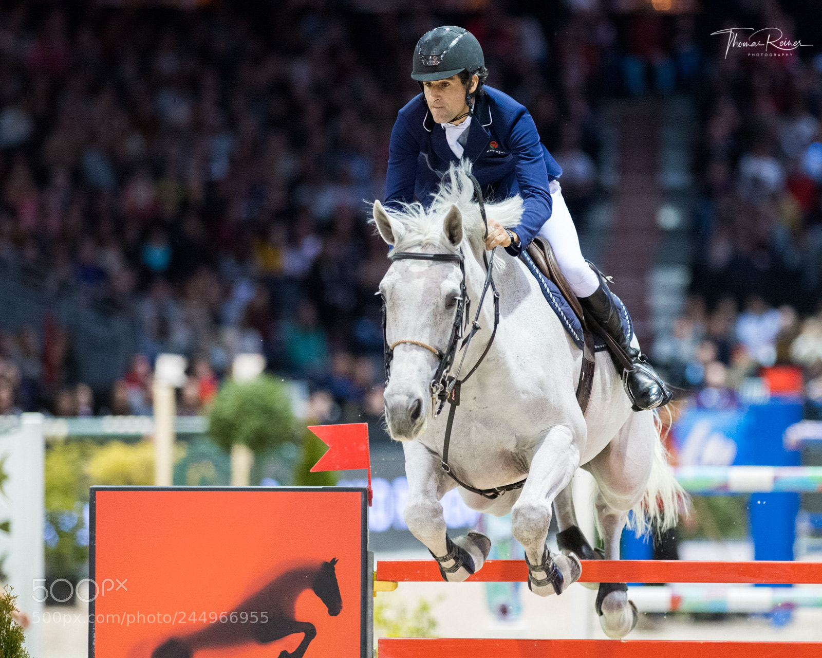 Nikon D4 sample photo. Bordeaux, france, 4.2.2018, sport photography