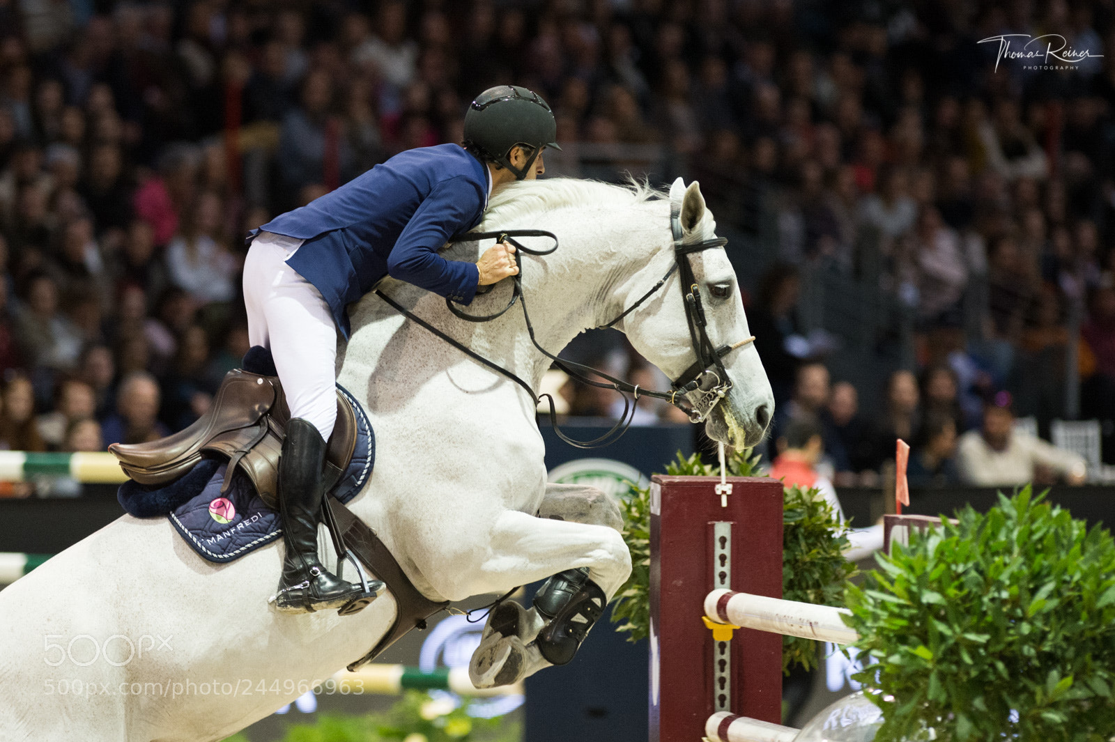 Nikon D4 sample photo. Bordeaux, france, 4.2.2018, sport photography