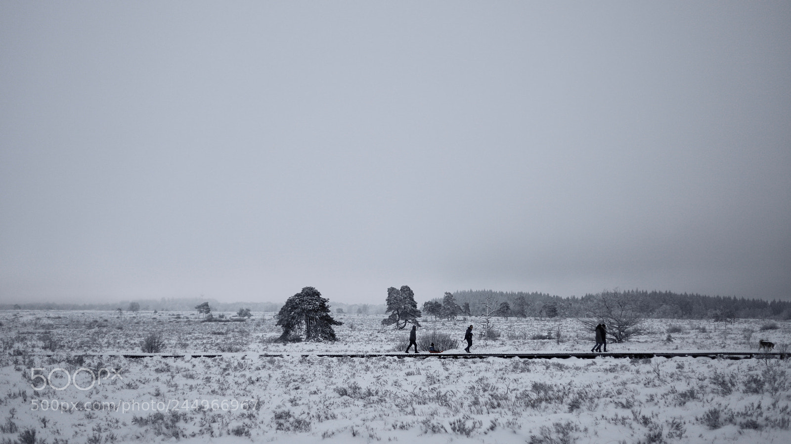Canon EOS 6D Mark II sample photo. Mg photography