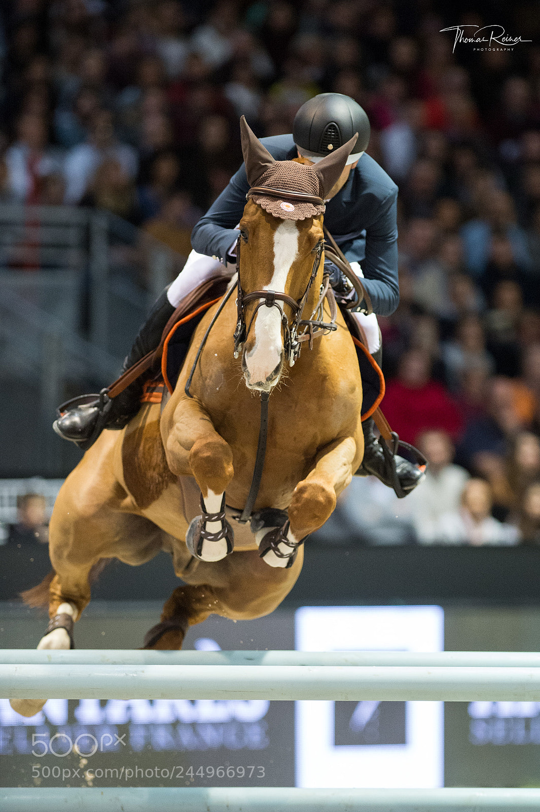 Nikon D4 sample photo. Bordeaux, france, 4.2.2018, sport photography
