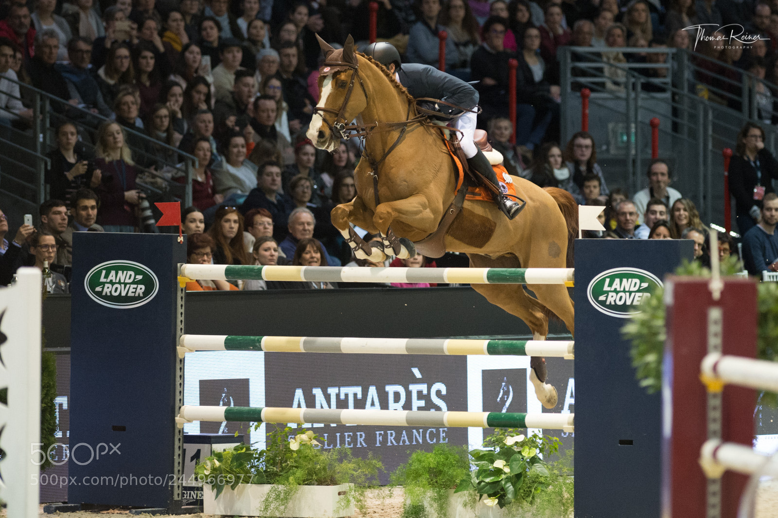 Nikon D4 sample photo. Bordeaux, france, 4.2.2018, sport photography