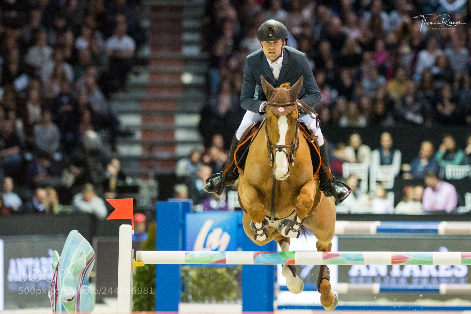 Nikon D4 sample photo. Bordeaux, france, 4.2.2018, sport photography