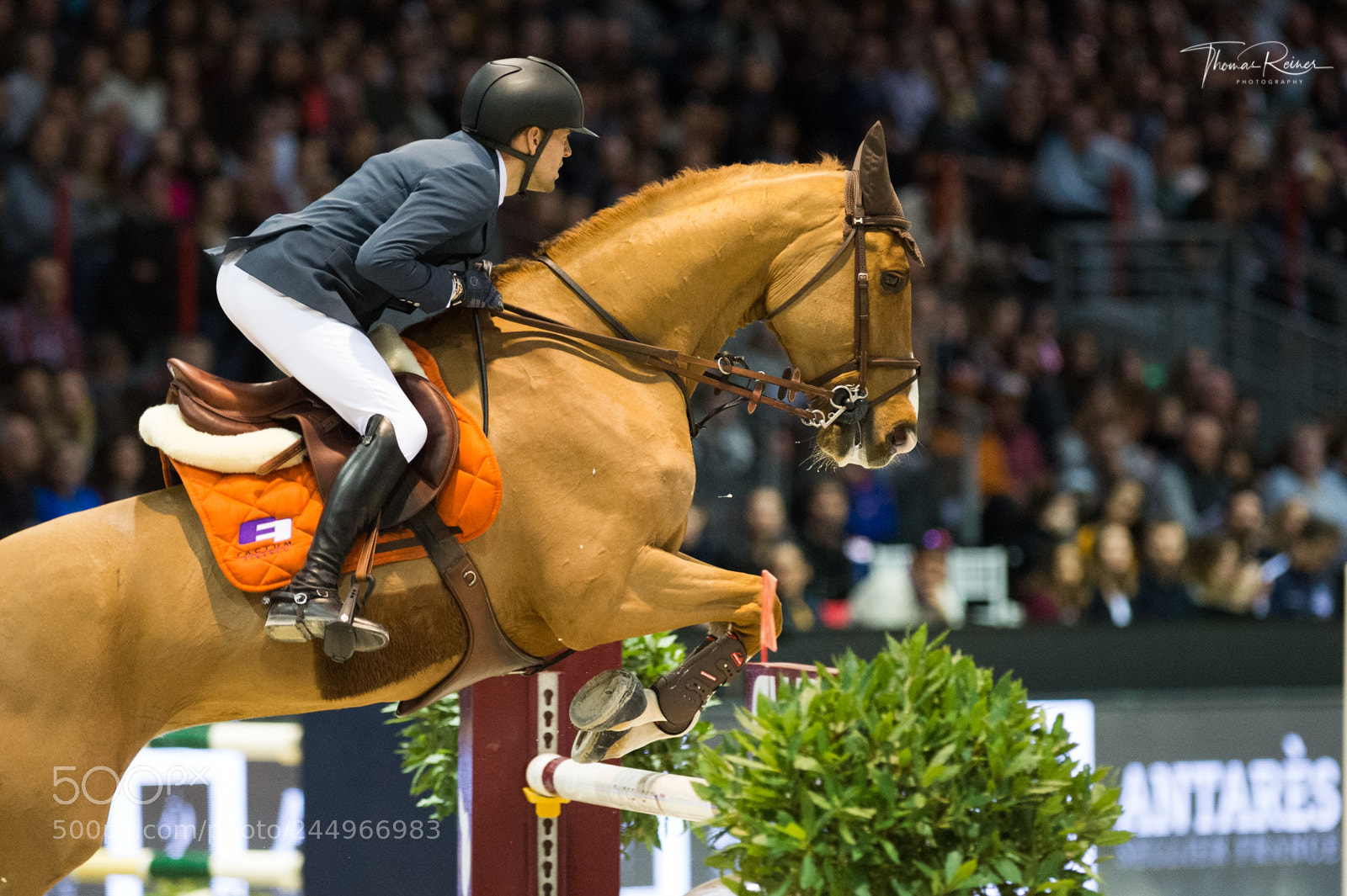 Nikon D4 sample photo. Bordeaux, france, 4.2.2018, sport photography