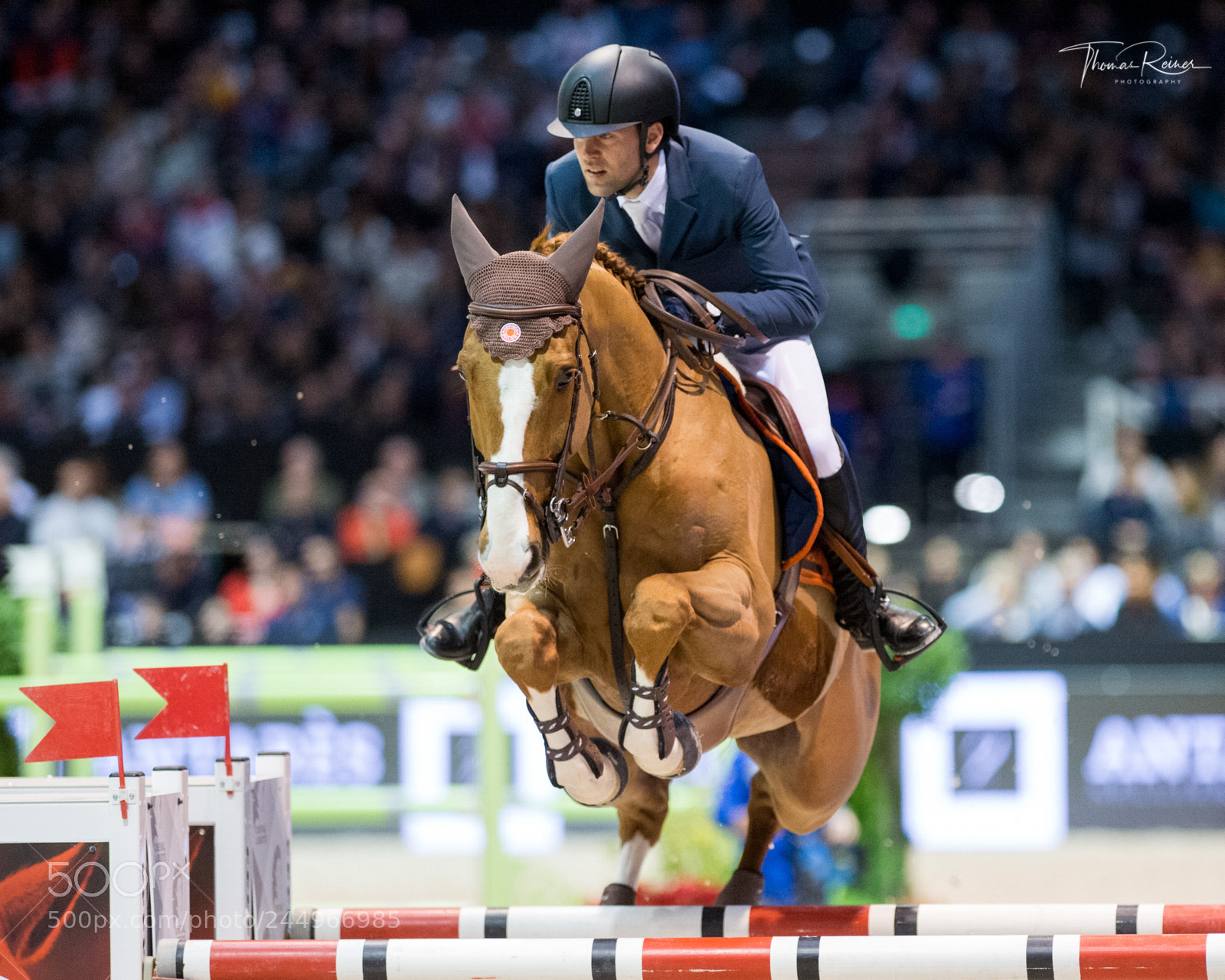 Nikon D4 sample photo. Bordeaux, france, 4.2.2018, sport photography