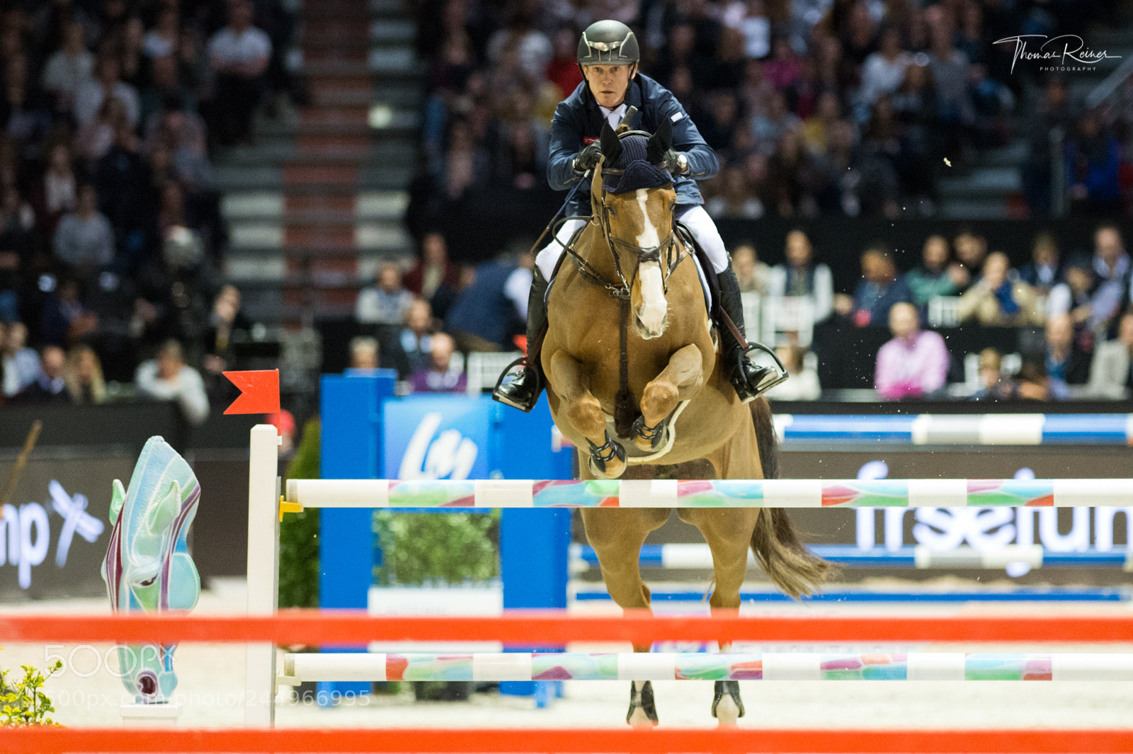 Nikon D4 sample photo. Bordeaux, france, 4.2.2018, sport photography