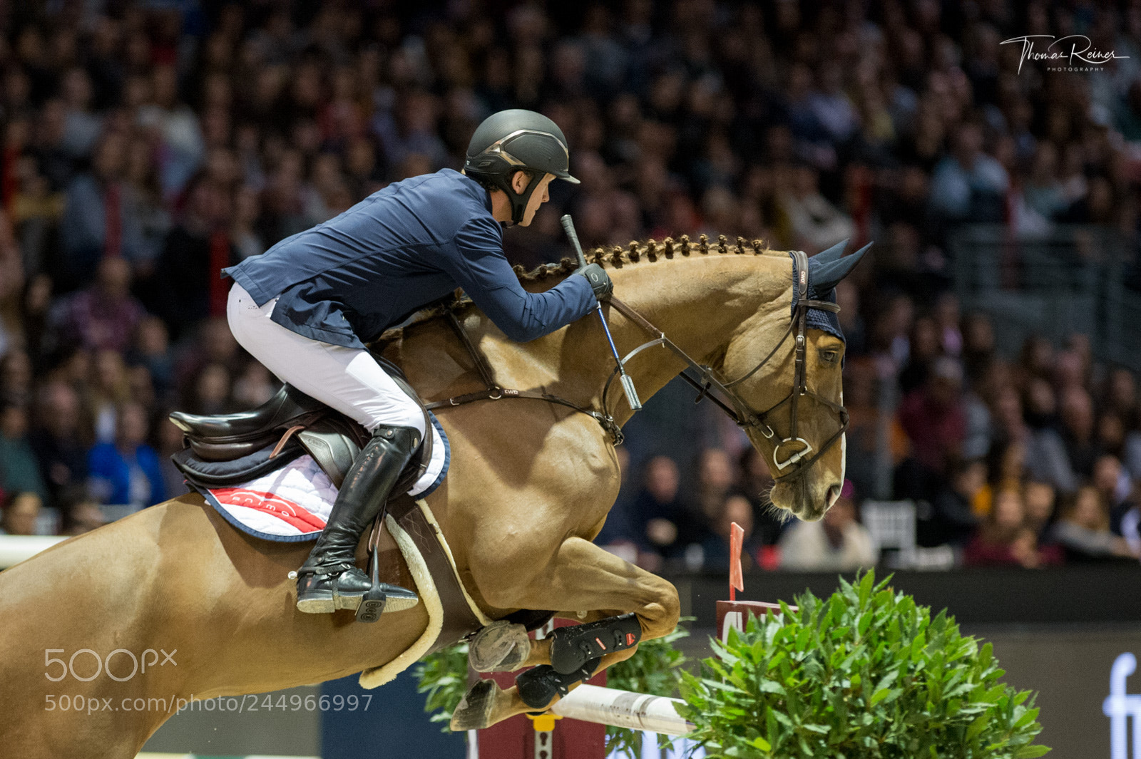 Nikon D4 sample photo. Bordeaux, france, 4.2.2018, sport photography