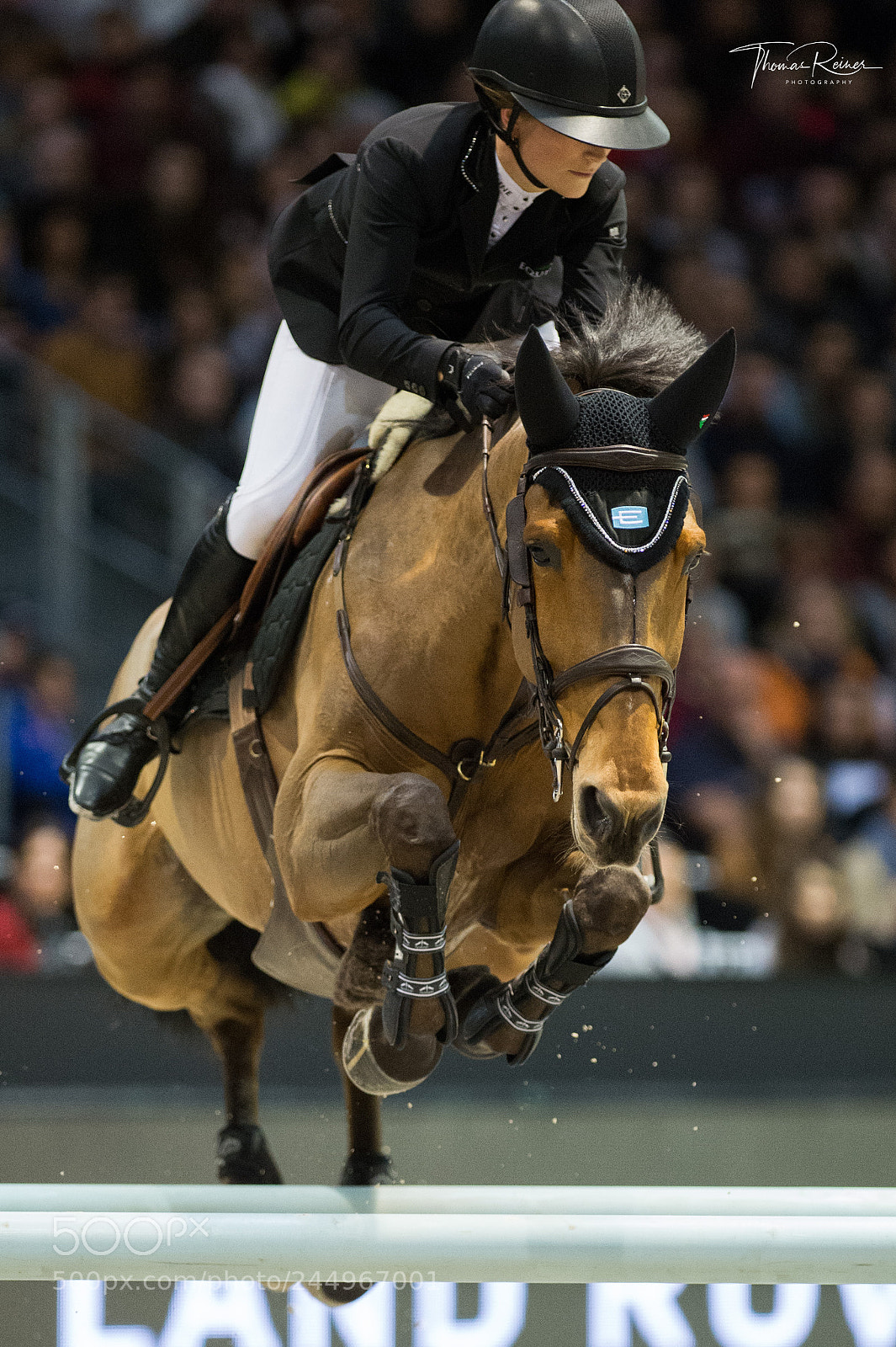 Nikon D4 sample photo. Bordeaux, france, 4.2.2018, sport photography