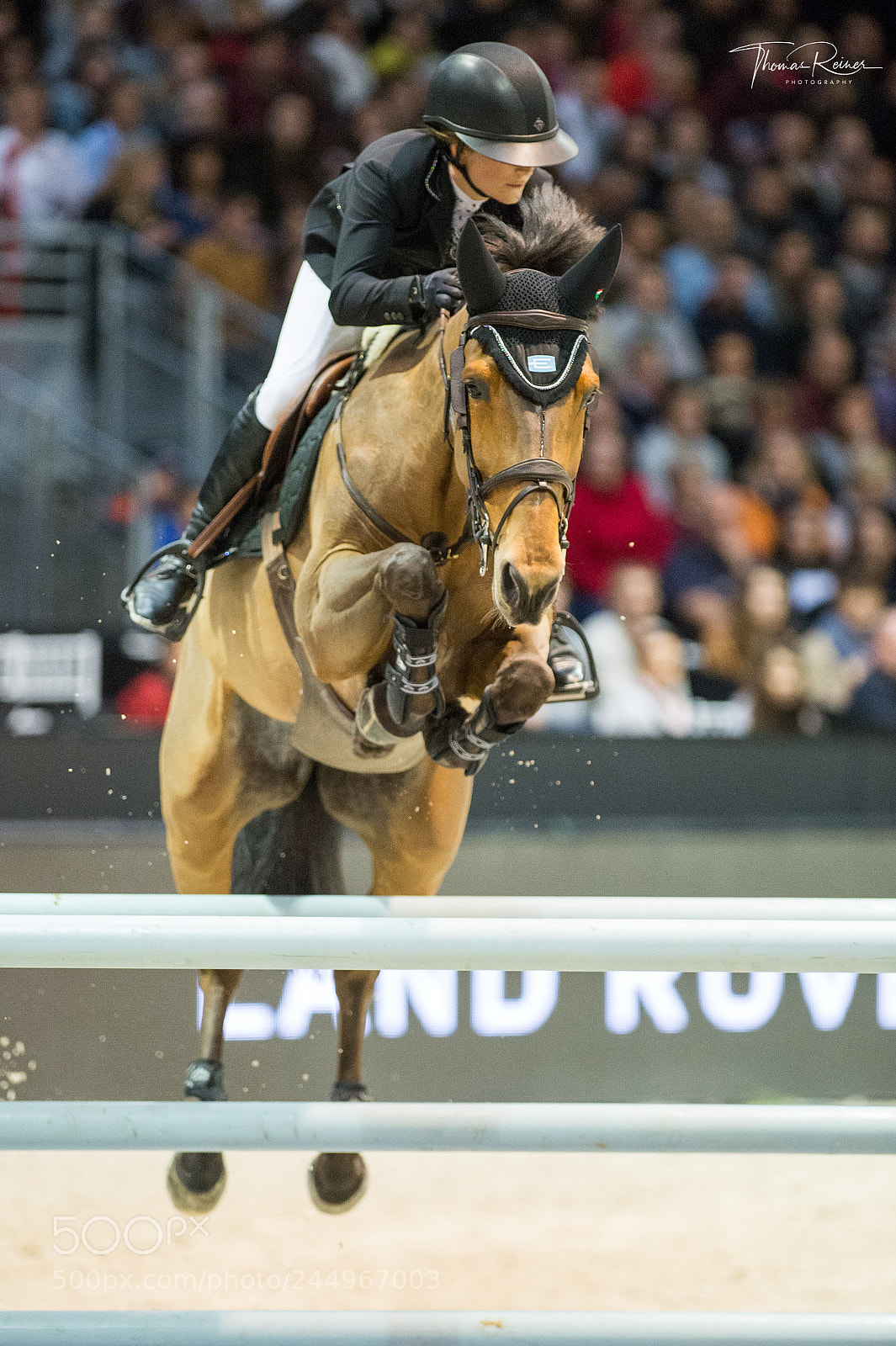 Nikon D4 sample photo. Bordeaux, france, 4.2.2018, sport photography