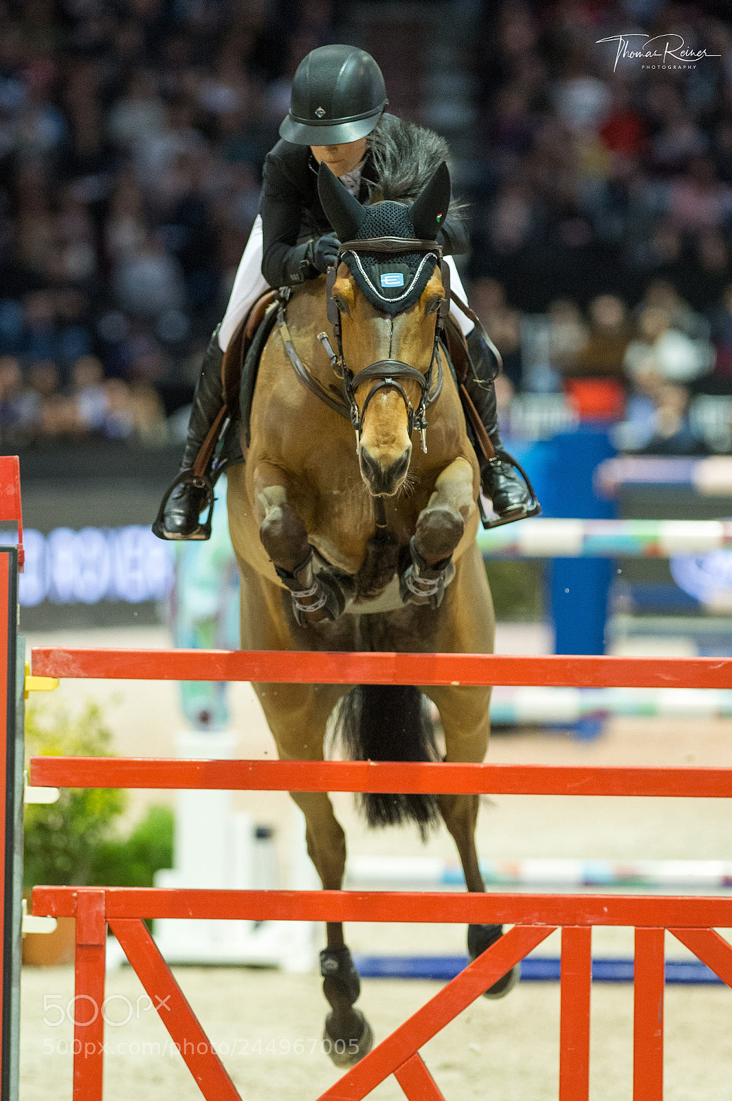 Nikon D4 sample photo. Bordeaux, france, 4.2.2018, sport photography