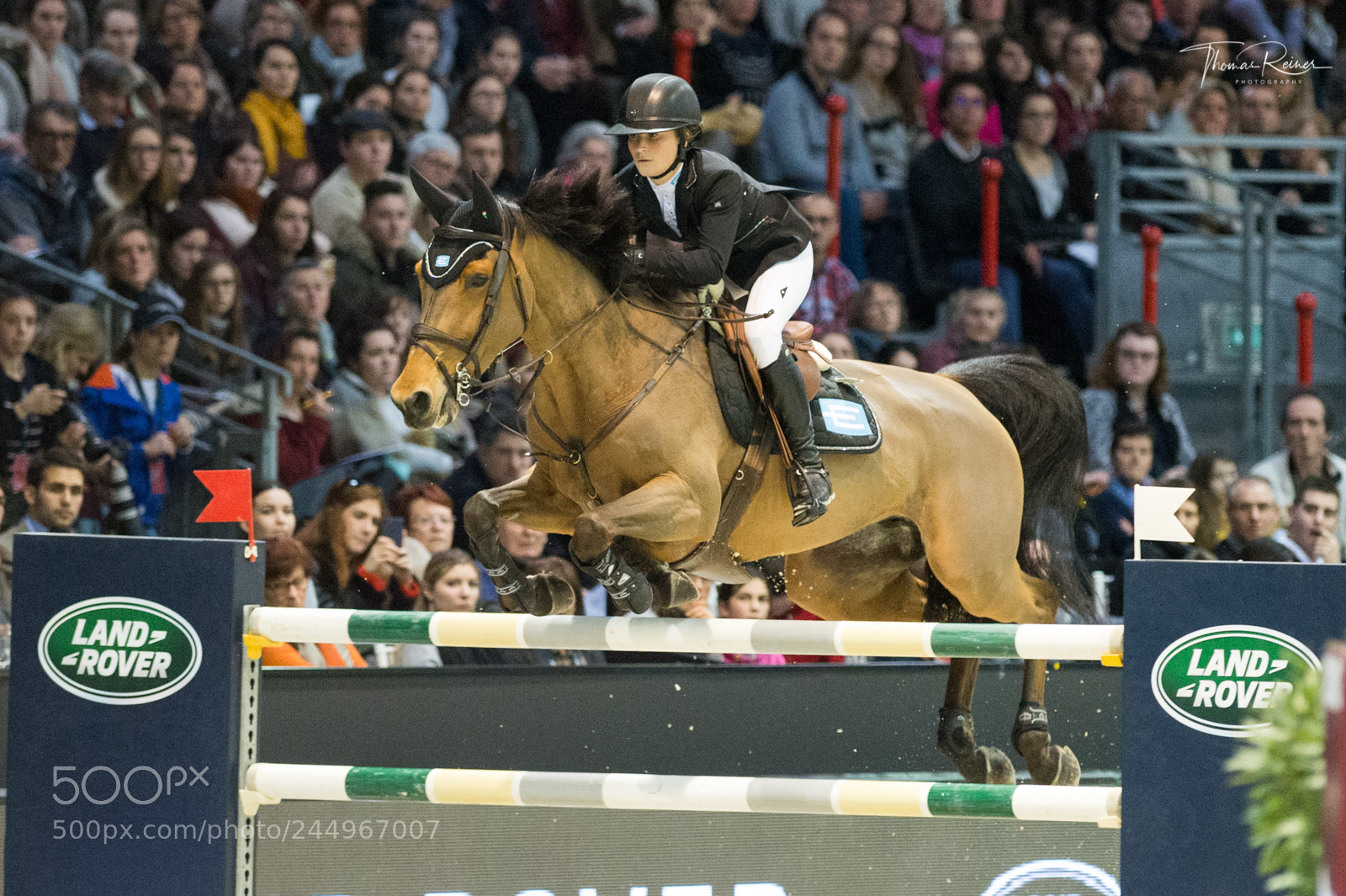 Nikon D4 sample photo. Bordeaux, france, 4.2.2018, sport photography