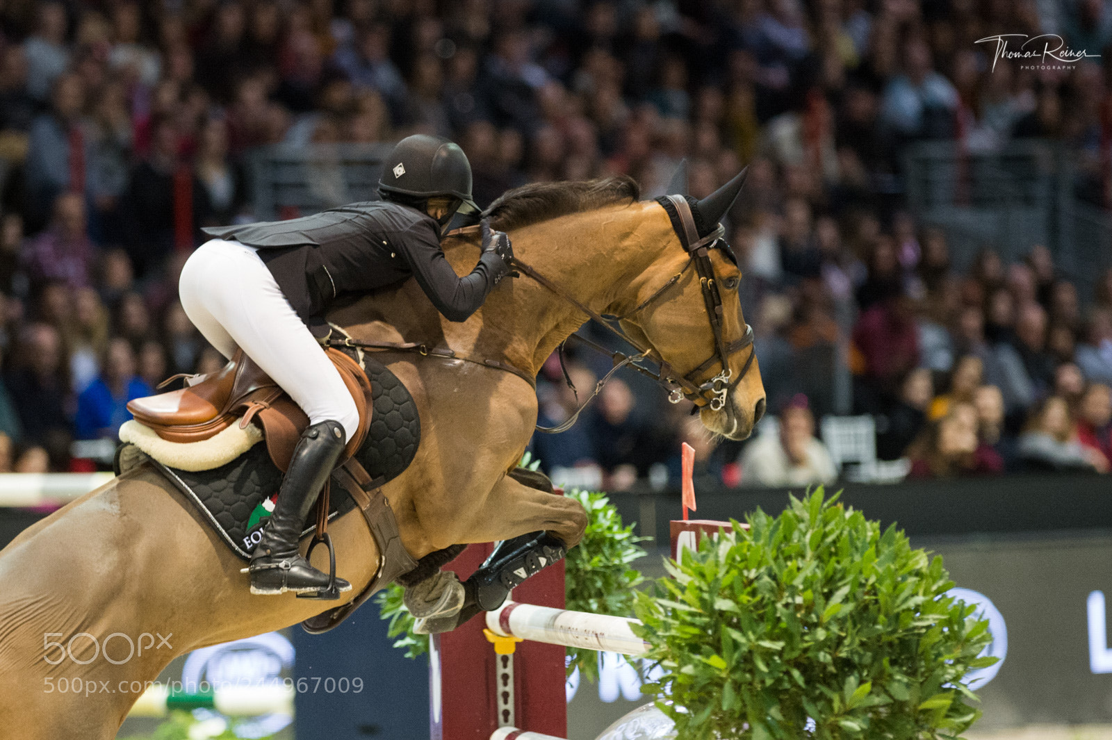 Nikon D4 sample photo. Bordeaux, france, 4.2.2018, sport photography