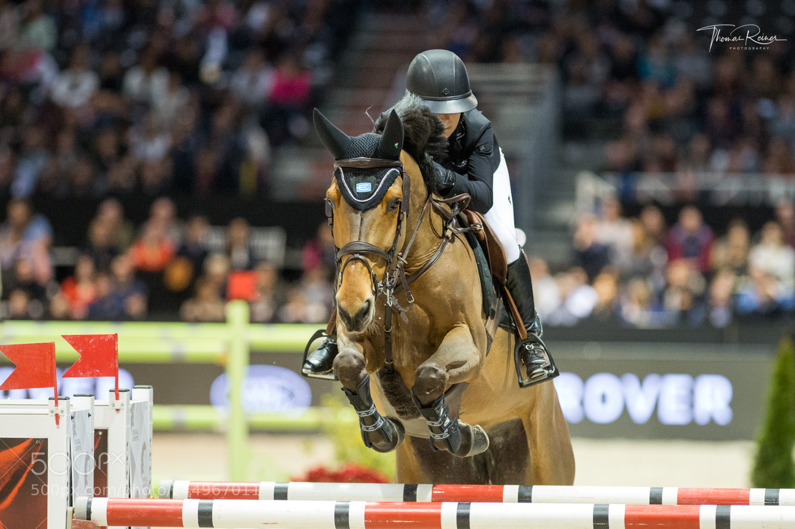 Nikon D4 sample photo. Bordeaux, france, 4.2.2018, sport photography