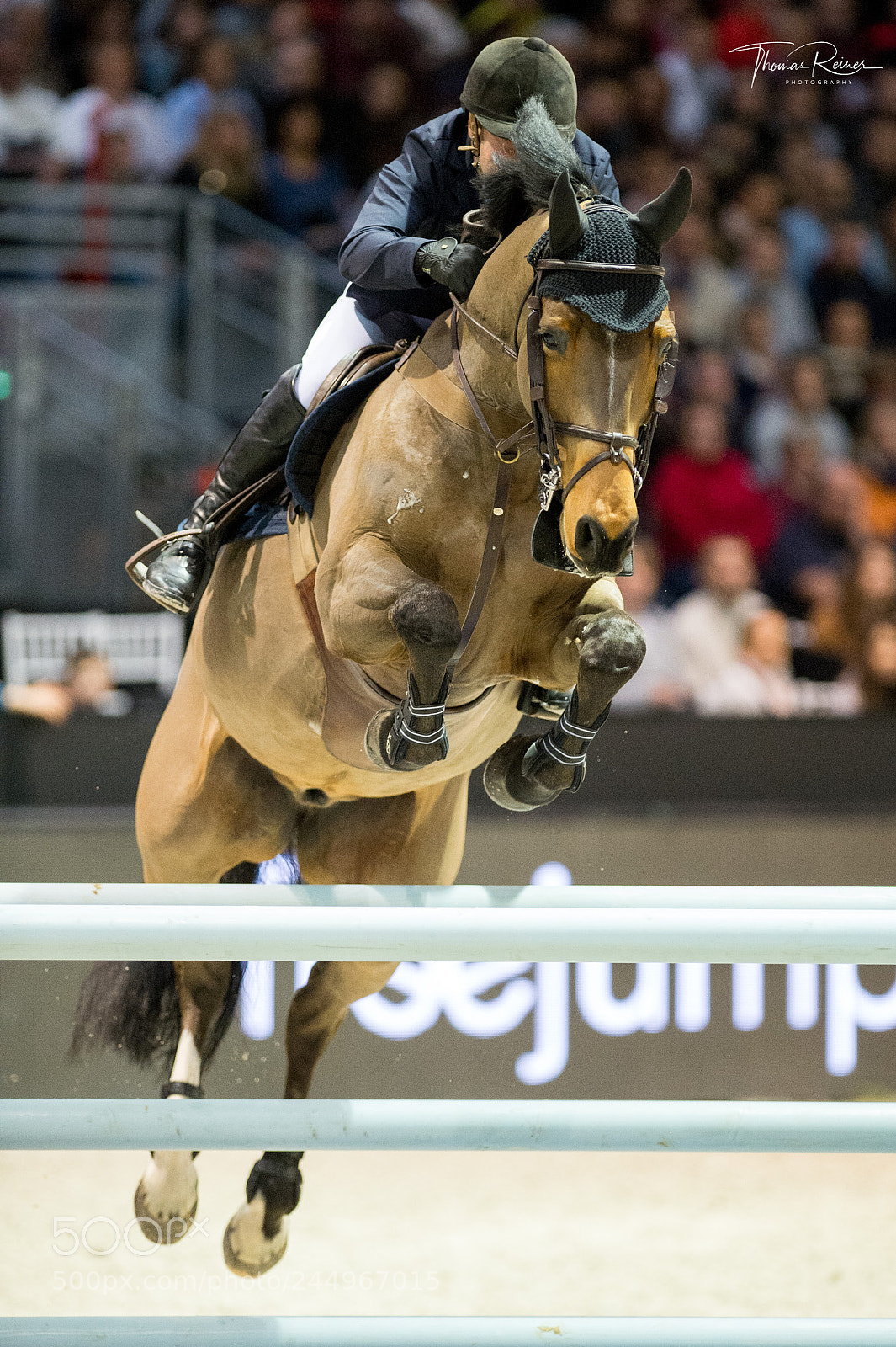Nikon D4 sample photo. Bordeaux, france, 4.2.2018, sport photography