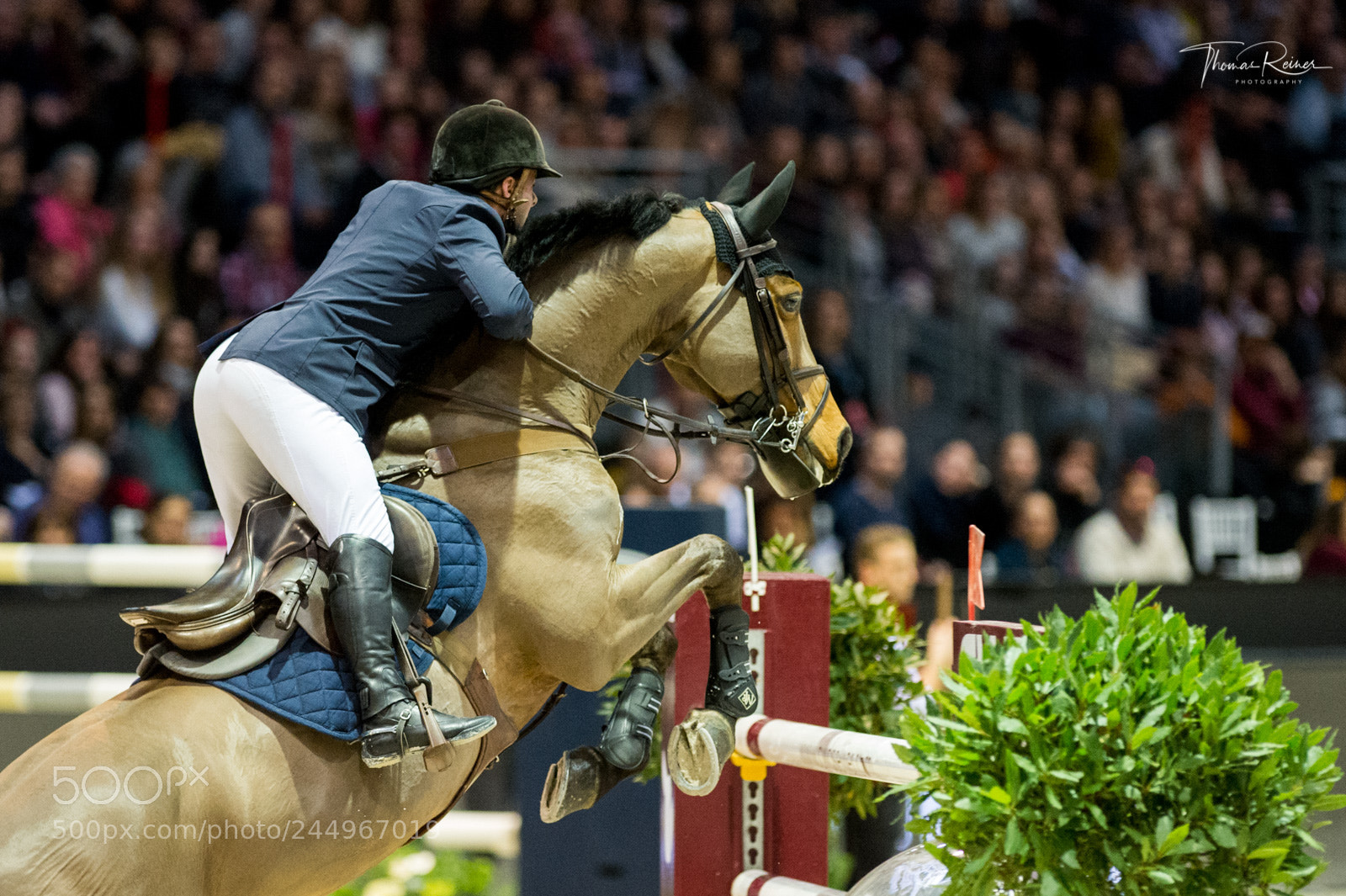 Nikon D4 sample photo. Bordeaux, france, 4.2.2018, sport photography