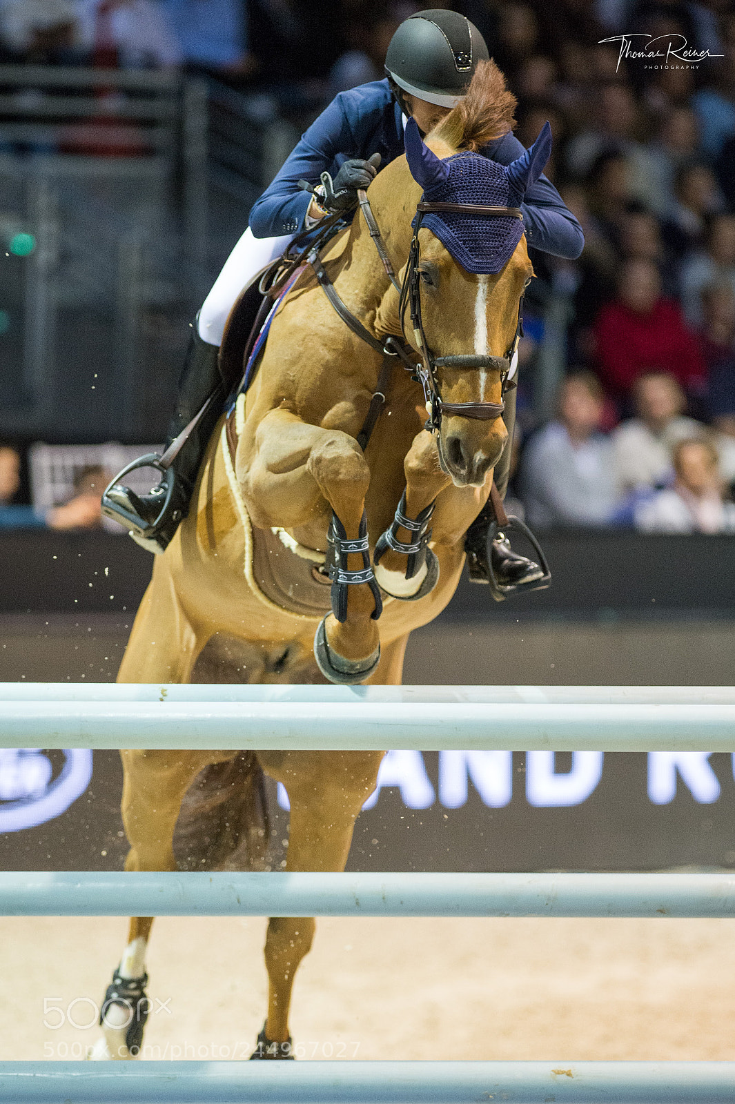 Nikon D4 sample photo. Bordeaux, france, 4.2.2018, sport photography