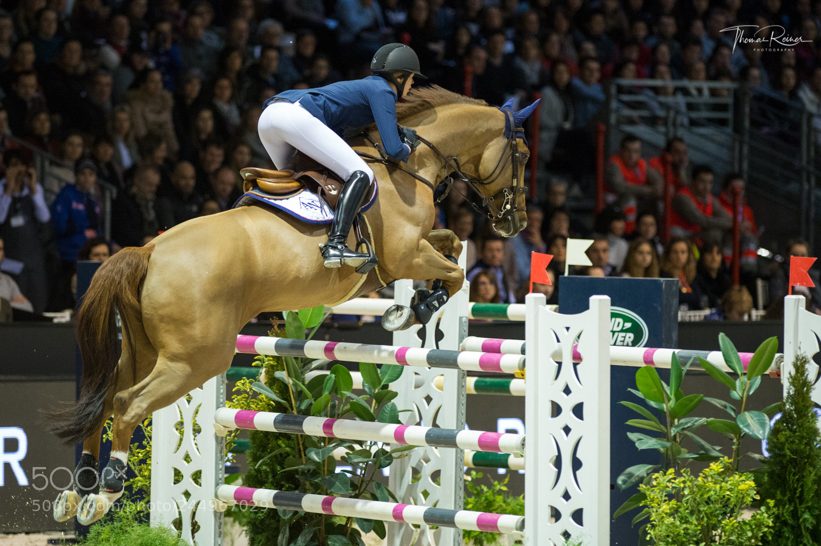 Nikon D4 sample photo. Bordeaux, france, 4.2.2018, sport photography