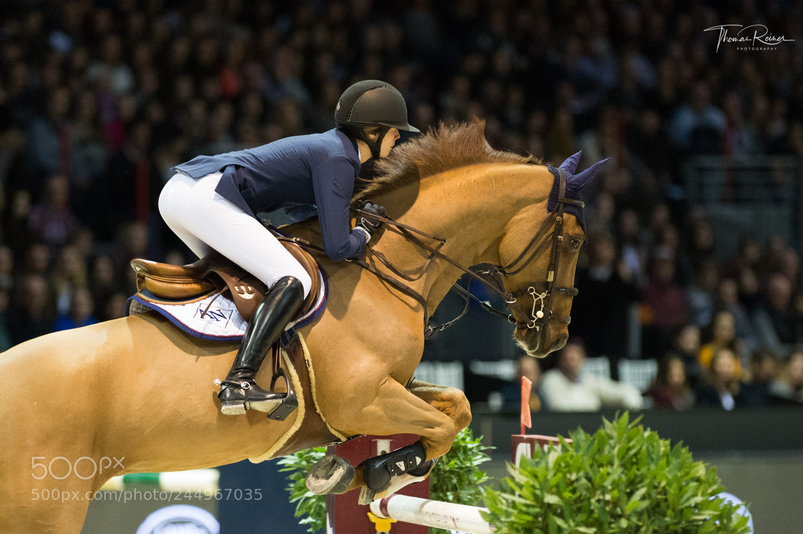 Nikon D4 sample photo. Bordeaux, france, 4.2.2018, sport photography
