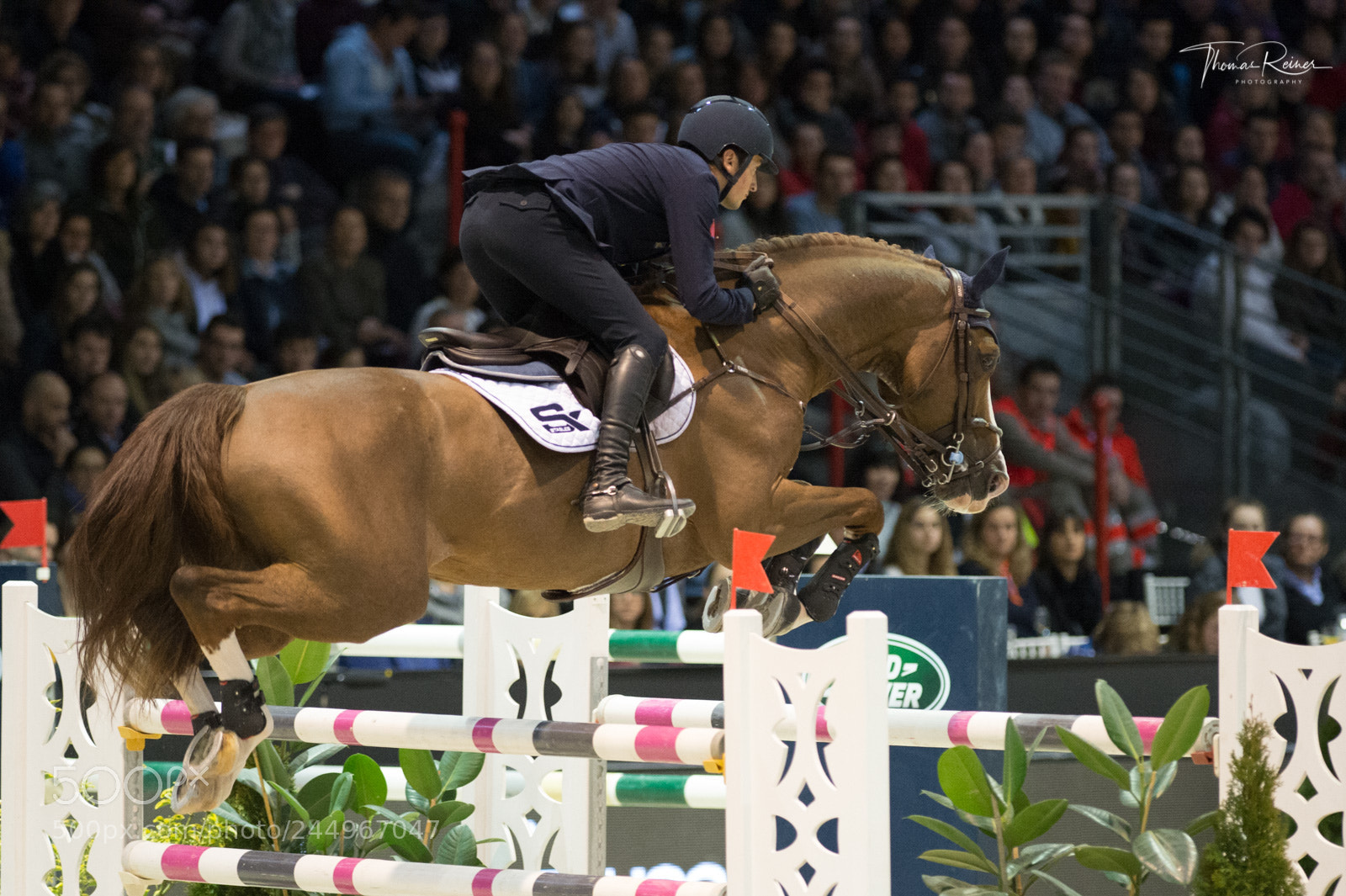 Nikon D4 sample photo. Bordeaux, france, 4.2.2018, sport photography