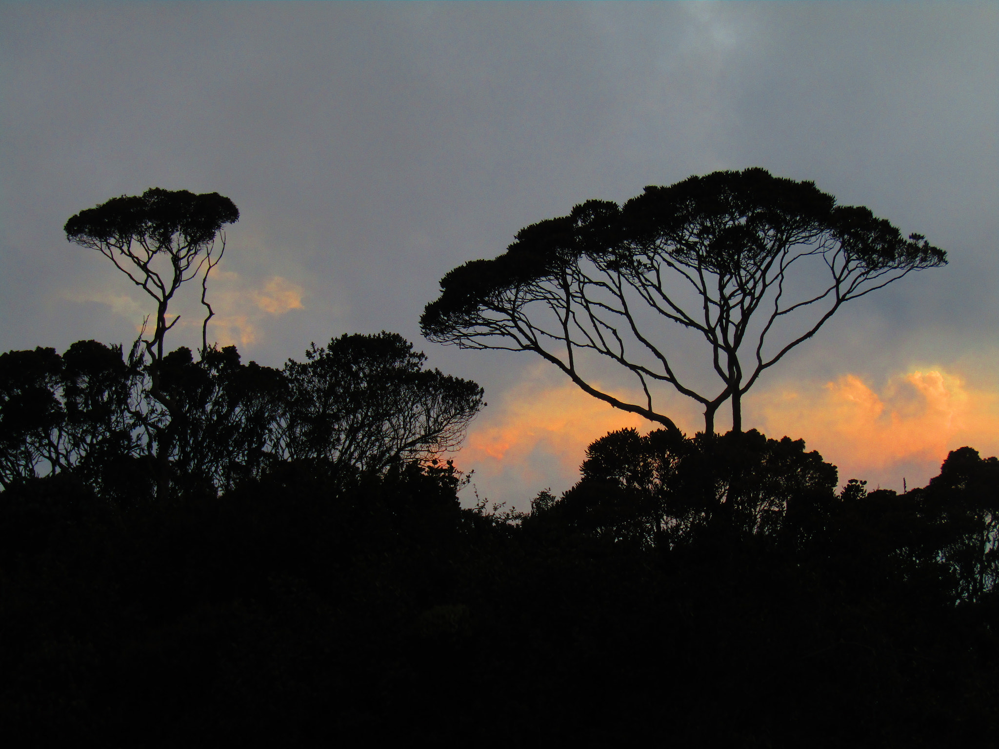 Canon PowerShot SX420 IS sample photo. Sunset in páramo de belmira photography