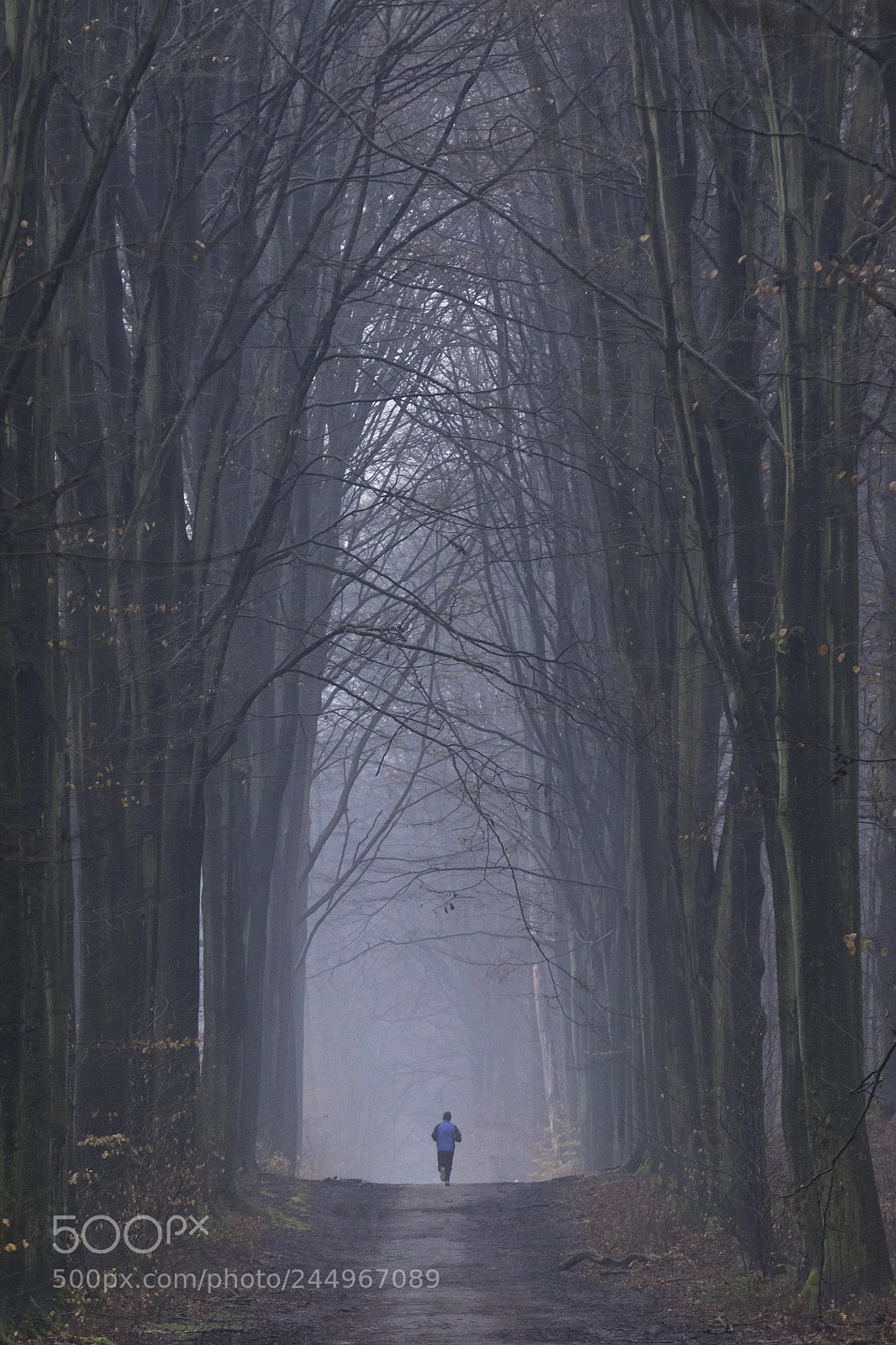 Canon EOS 7D Mark II sample photo. The call of the photography