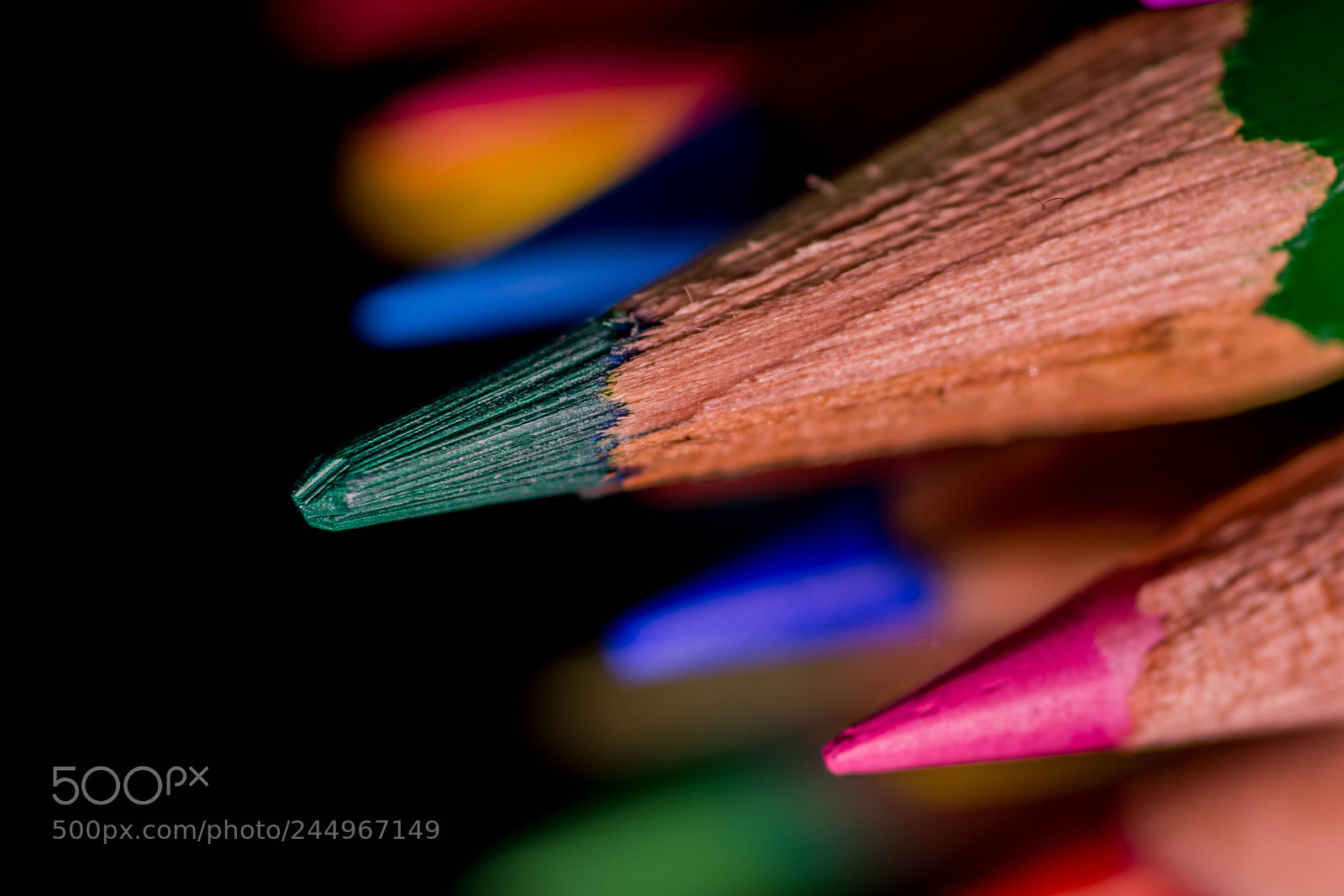 Nikon D7200 sample photo. Color photography