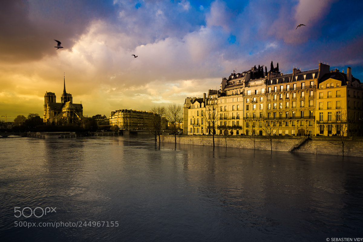 Canon EOS 6D Mark II sample photo. Paris photography