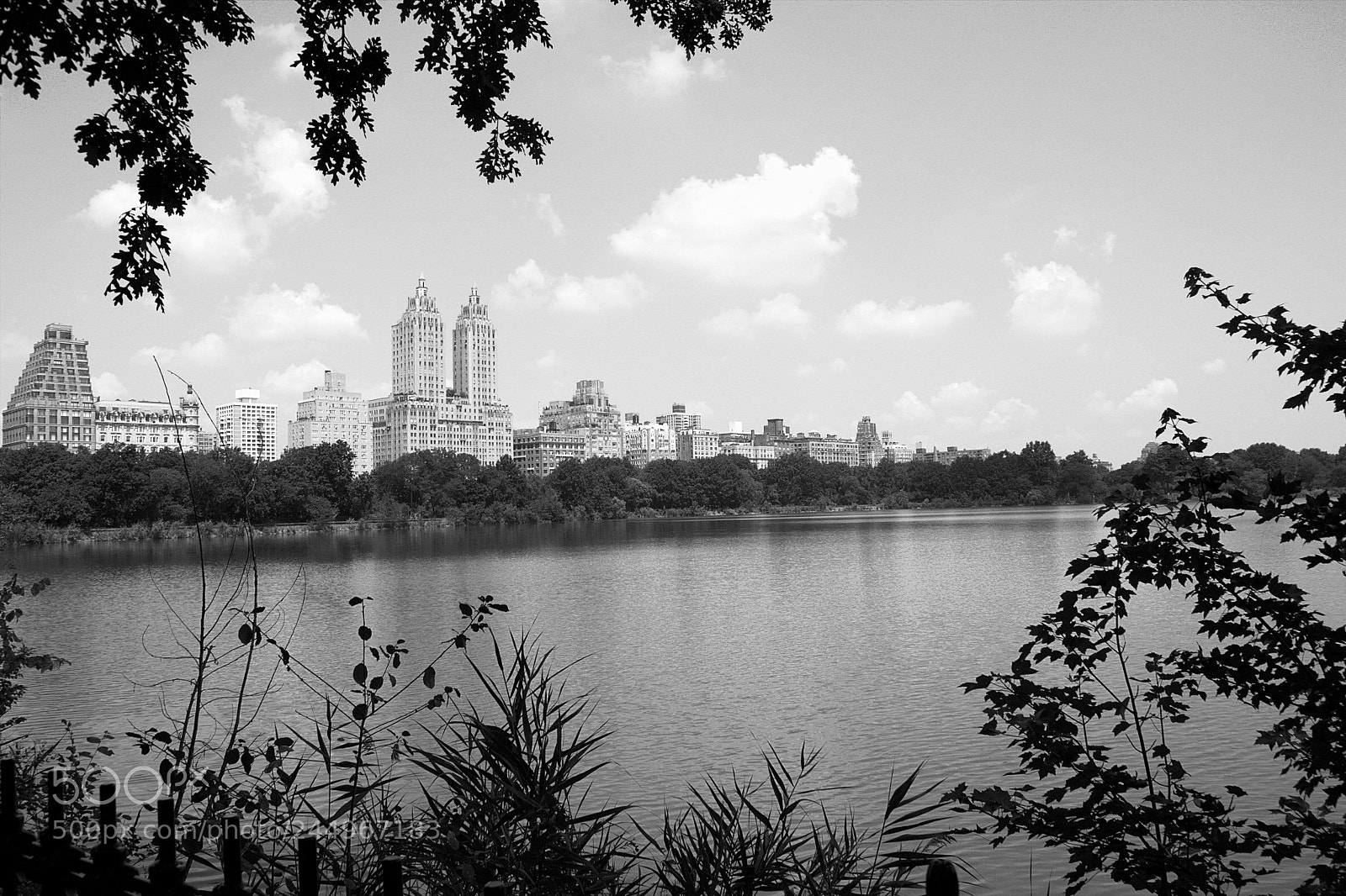 Canon EOS 500D (EOS Rebel T1i / EOS Kiss X3) sample photo. New york from central photography